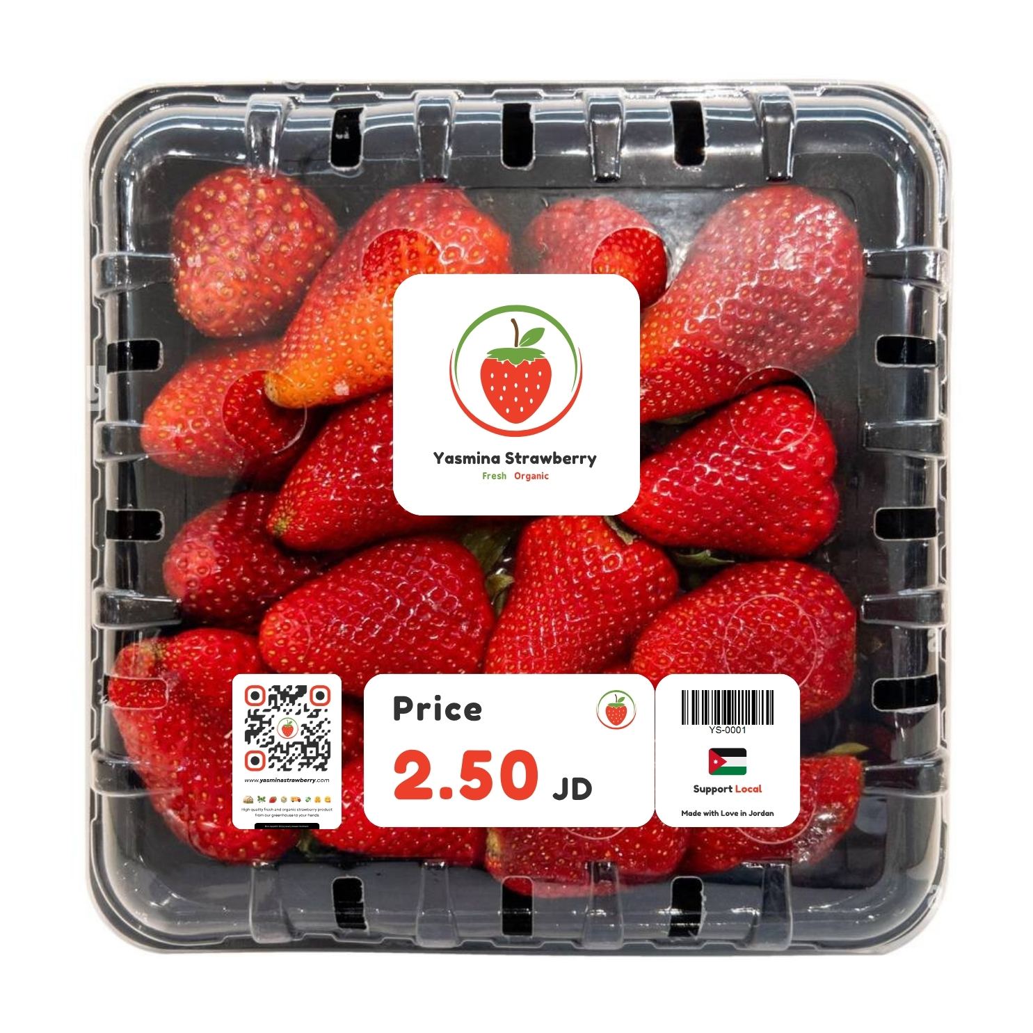 صـنـدوق فـراولــة يـاسـمـيـنــا المــمـيــز الـصـغـيــر