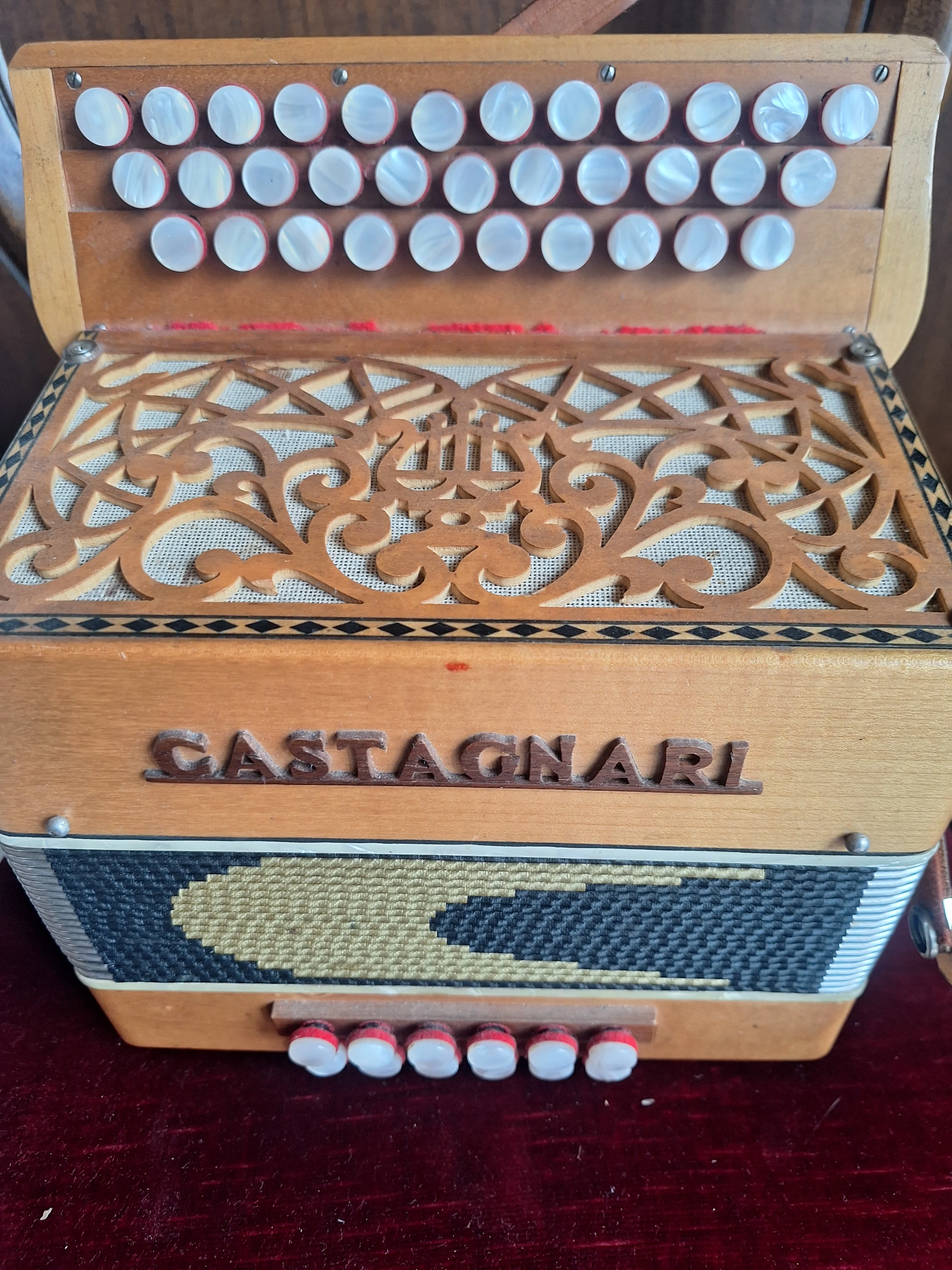 Organetto Diatonico Castagnari – 12 Bassi – Legno Massello – Ottime Condizioni