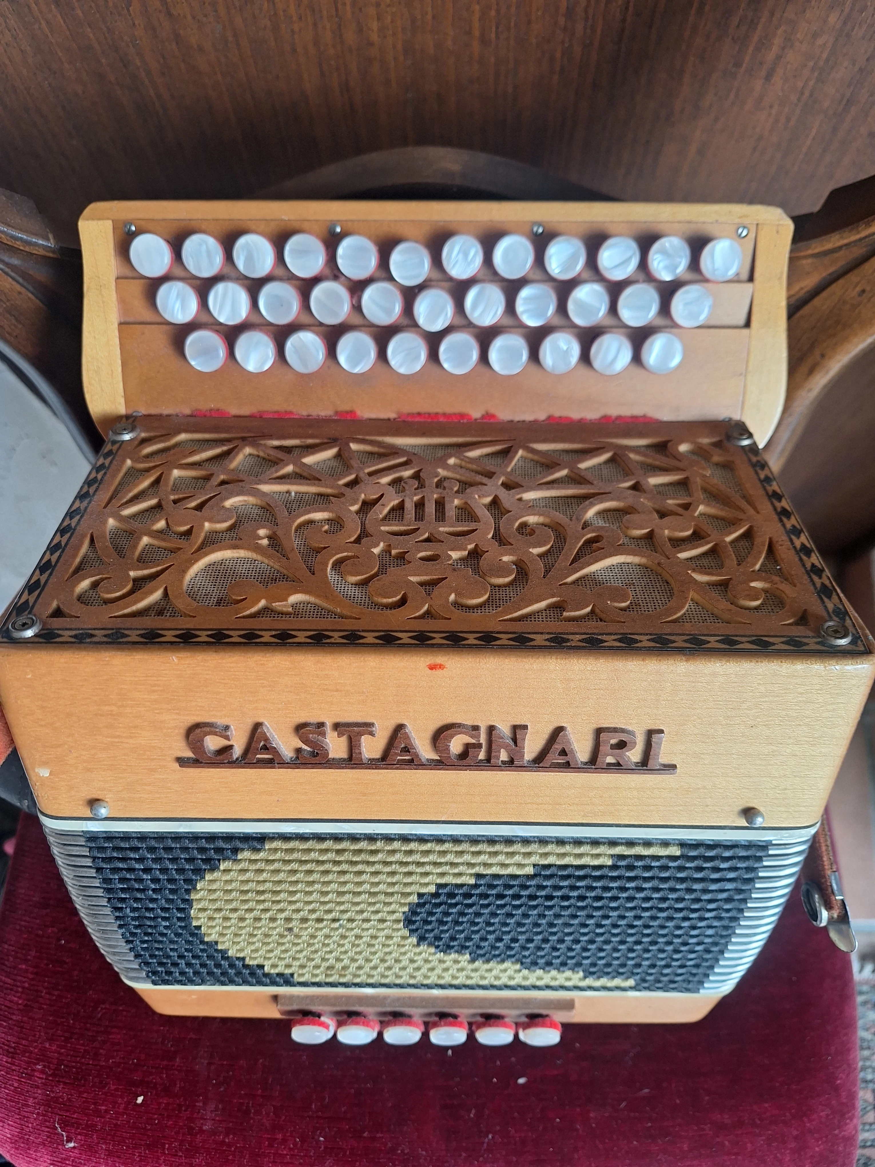 Organetto Diatonico Castagnari – 12 Bassi – Legno Massello – Ottime Condizioni - view 2