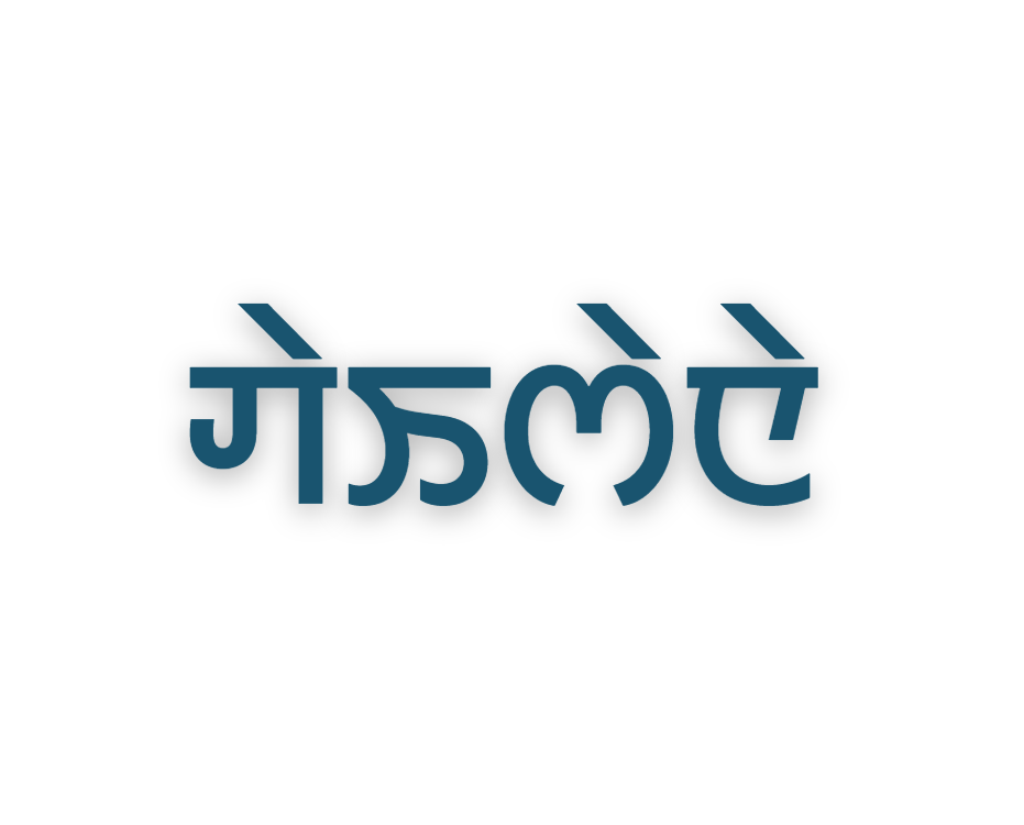 Vaisana Logo