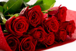 薔薇の花束　11本