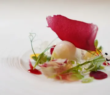 五感を満たす★極上のフルコース | 12月限定【チャペル貸切で愛を誓う×プロポーズランチ】1日1組限定の個室確約★フレンチフルコース＋乾杯ドリンク＋花束＋記念写真＋メッセージ付きプレート付き｜青山一丁目駅徒歩5分