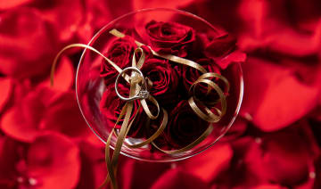 12本のバラの花束で感動的なプロポーズを | 【個室確約 プロポーズプラン】甘鯛のポワレや国産牛ヒレを含む豪華フルコースディナー全6品 ★乾杯酒＋バラの花束12本プレゼント★中洲で特別な愛の告白を！