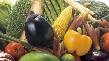 使用食材への徹底したこだわり | 【ご長寿お祝いプラン】新鮮魚介と季節の味覚を楽しむランチ限定御膳★ワンドリンクサービス付き★