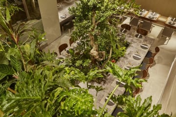 リフレッシュできる癒やしの空間で、心豊かなお祝いのひとときを | 【アニバーサリープラン】彩り豊かな旬食材で仕上げた本格中華ディナーコース＋乾杯シャンパン★靭公園隣接★