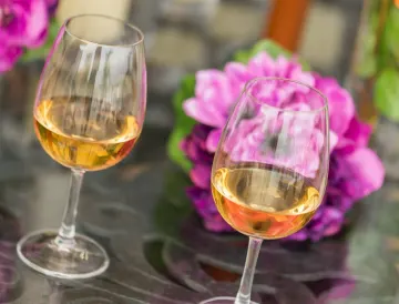 お二人のお祝いを始める乾杯ドリンク付き | 【アニバーサリープラン8,800円】旬の鮮魚や野菜のイタリアンディナーコース全６品＋乾杯ドリンク付き★芦屋マリーナの絶景望む非日常空間