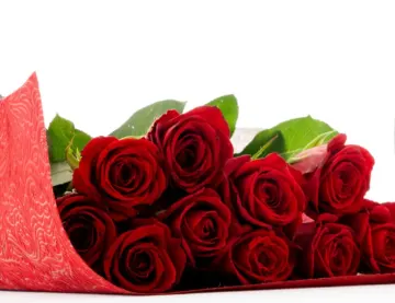 「100％の愛」の気持ちを込めた赤バラ100本で、大切な方への想いを形に | 【Anny限定★個室確約クリスマスディナープラン】特別懐石全7品～聖夜～＋乾杯シャンパン＋バラの花束100本付き！横浜の夜景と贅沢な料理が織りなす、上質なひととき