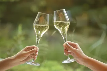 乾杯グラススパークリングとともに優雅なお祝い時間をスタート | 【6名様～10名様向け 個室確約 お祝いプラン】フカヒレの姿煮を含む豪華広東料理～お祝いコース～+乾杯グラススパークリングワイン★グランドプリンスホテル新高輪で和やかなひとときを