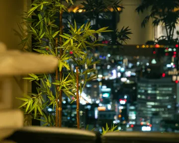 ご両家の門出をお祝いする地上130mの眺望 | 6名～8名様ご案内可【個室確約★結納・お顔合わせランチプラン】祝鯛の姿焼や黒毛和牛の石焼きを含む祝い膳全9品『雅コース』＋ワンドリンク付き★地上130mの絶景★北新地で新たなご家族の誕生をお祝い