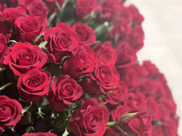 圧巻のバラ108本が彩る、忘れられないサプライズ | 【Anny限定★個室確約クリスマスディナープラン】極上懐石全8品+乾杯シャンパン+バラの花束108本付き！池袋の絶景を眺めながら味わう、特別なクリスマス