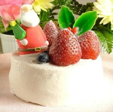特製クリスマスケーキで彩る冬の贅沢 | 【クリスマスディナープラン】クリスマスを彩る豪華フレンチフルコース全2種＋乾杯シャンパン＋クリスマスケーキ付き★ピアノ生演奏と共に楽しむ特別なクリスマス★