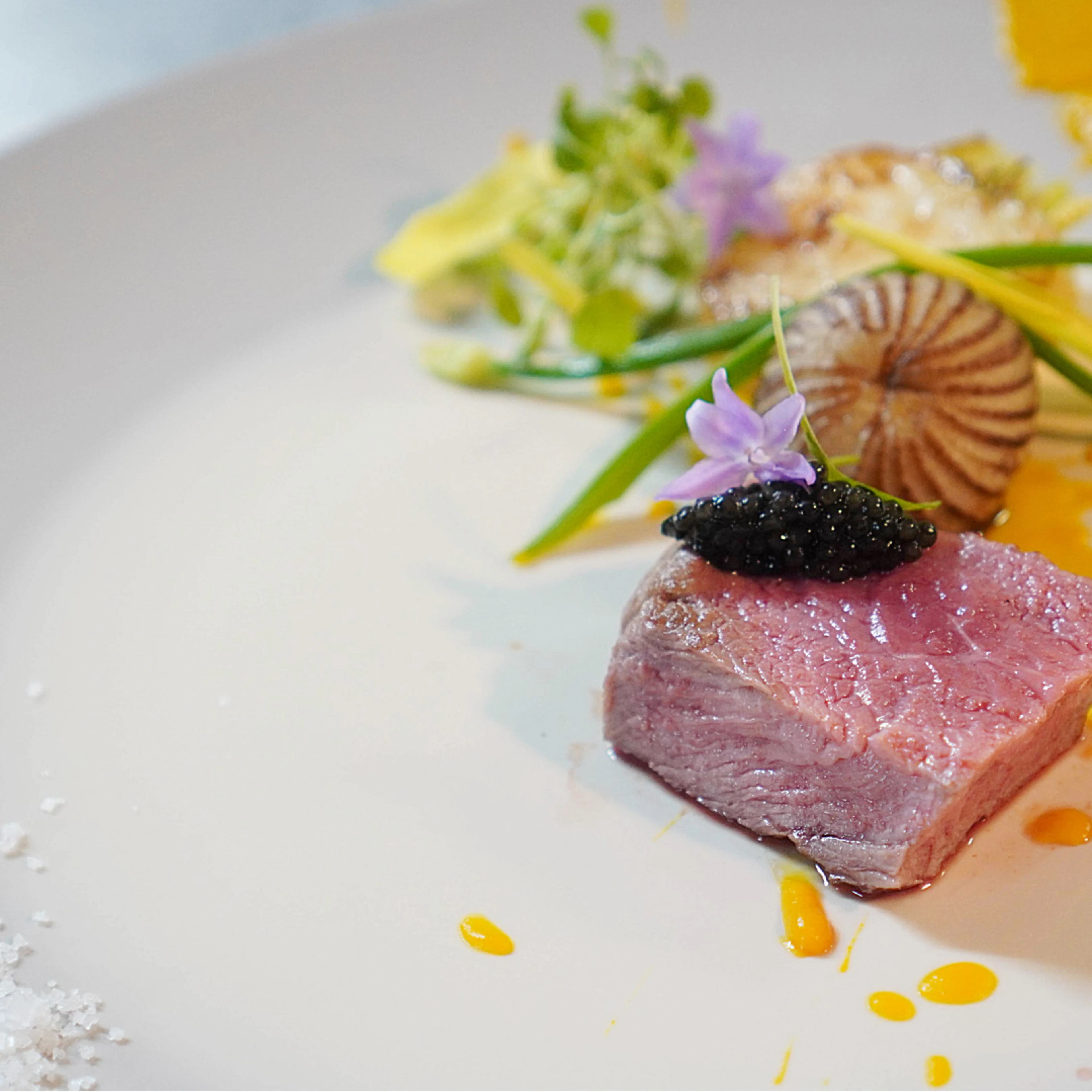 選べるイノベーティブフレンチフルコース3種