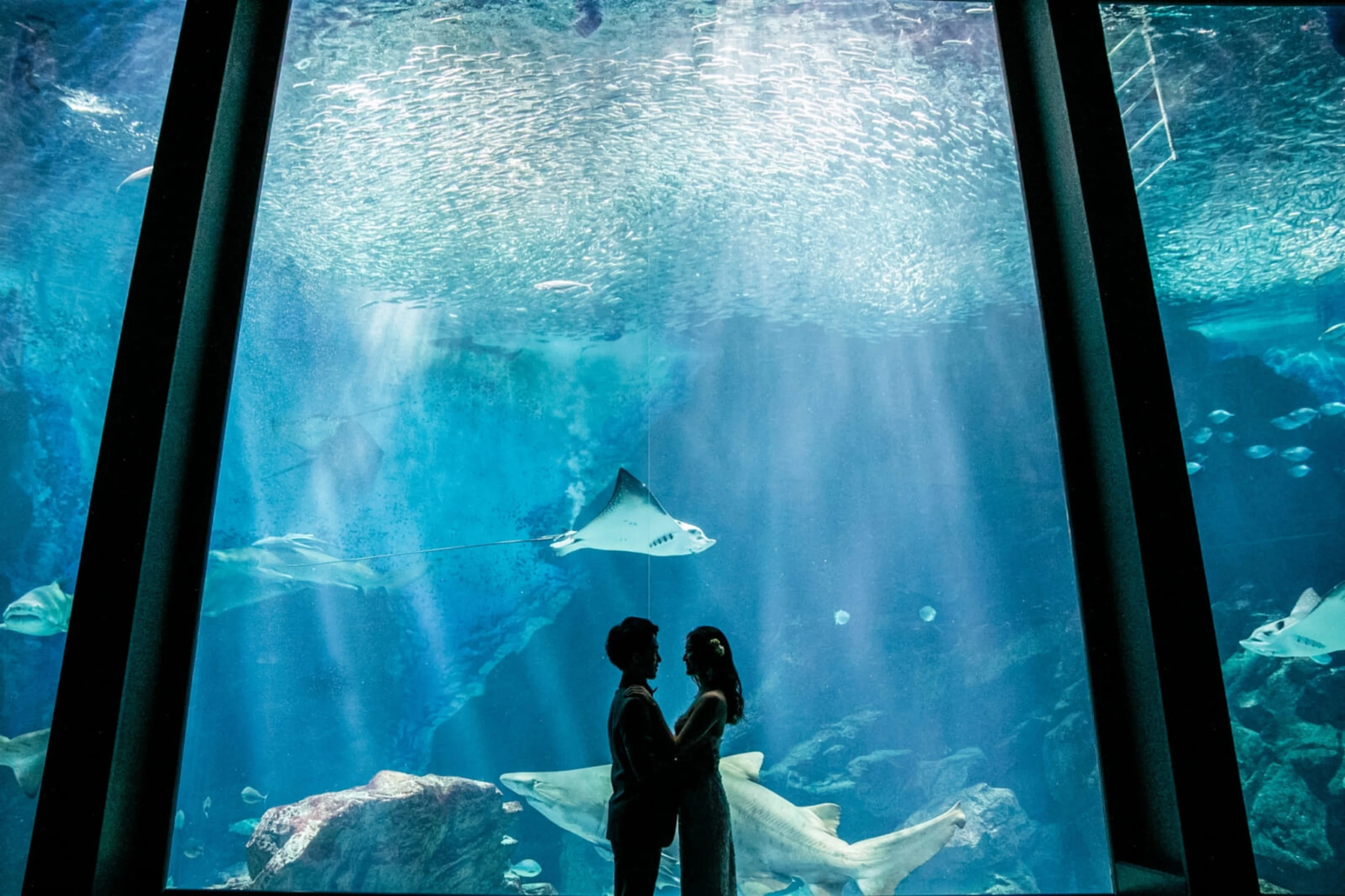 【Anny限定/水族館貸切プロポーズプラン】マリンワールドで叶える幻想的なプロポーズ★こだわりイタリアン＋乾杯酒＋ホールケーキ＋プランナーによる徹底サポート付き★リゾートホテルで一生の思い出に残るプロポーズを★