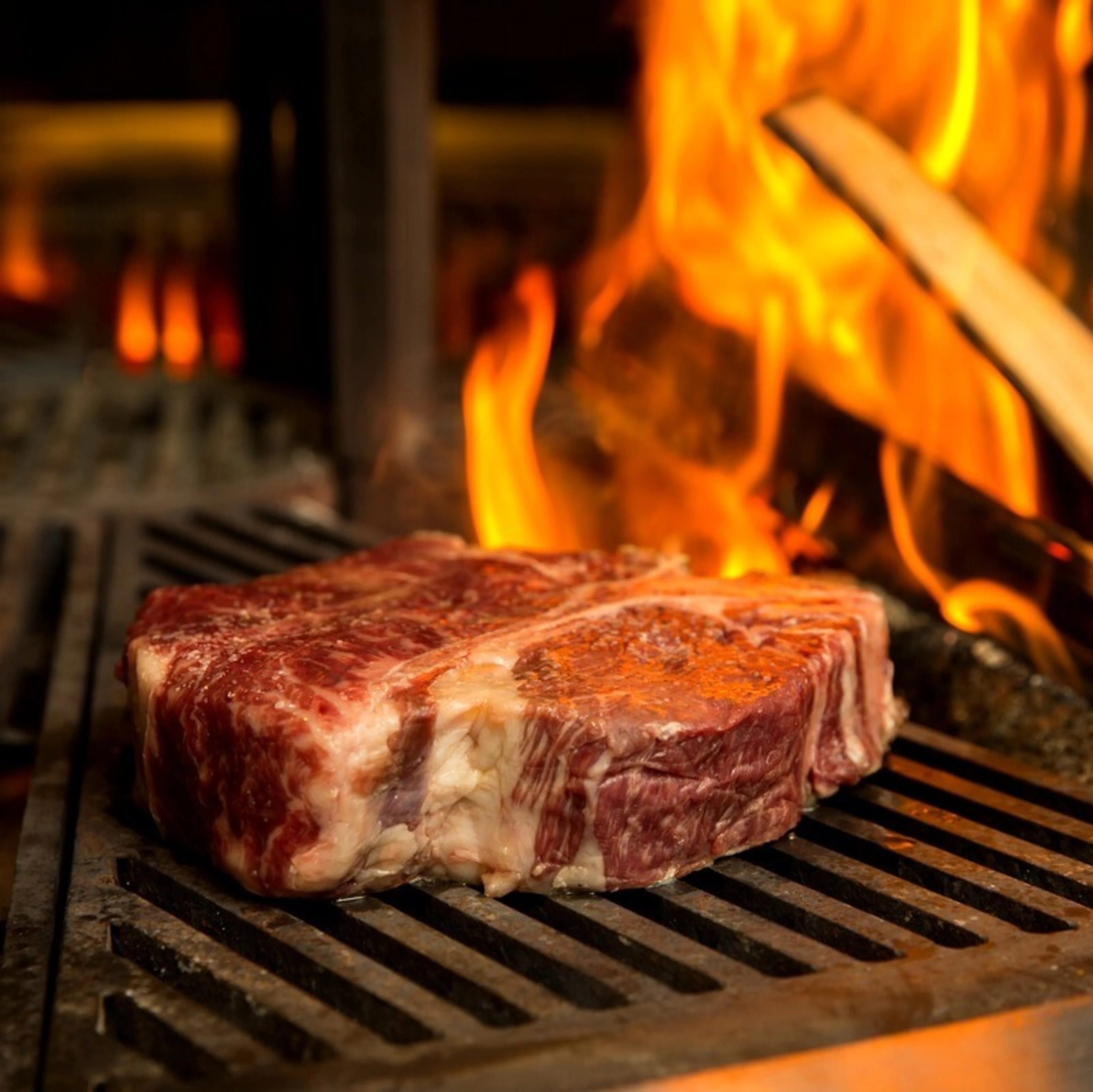 グリル料理ディナーコース