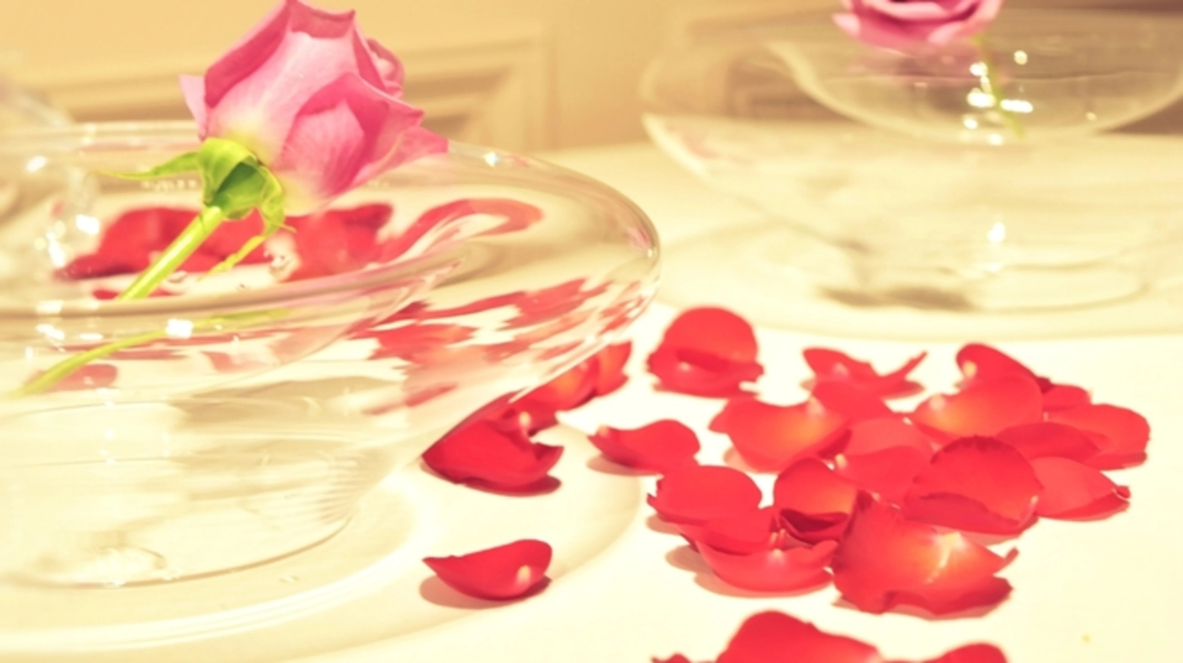 バラの花びらのテーブルデコレーション