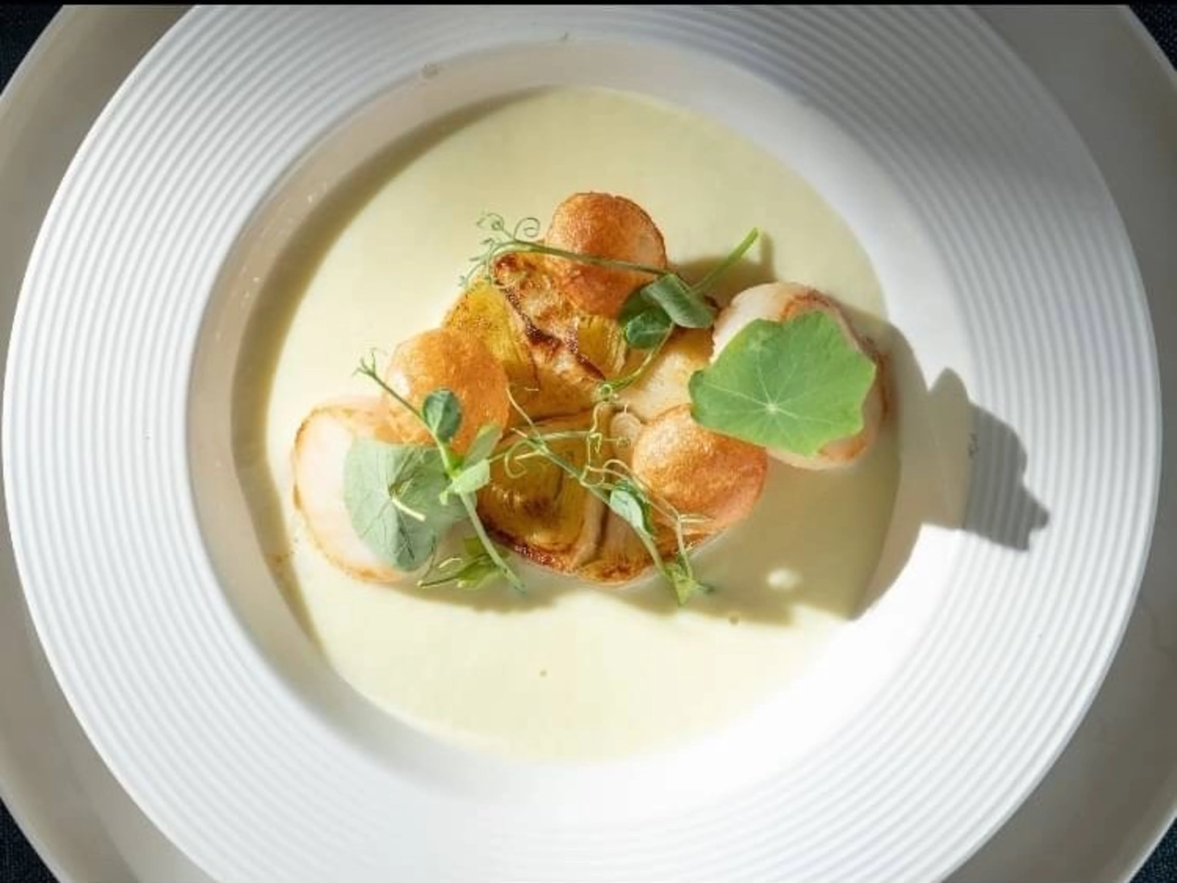 お試しショートコース