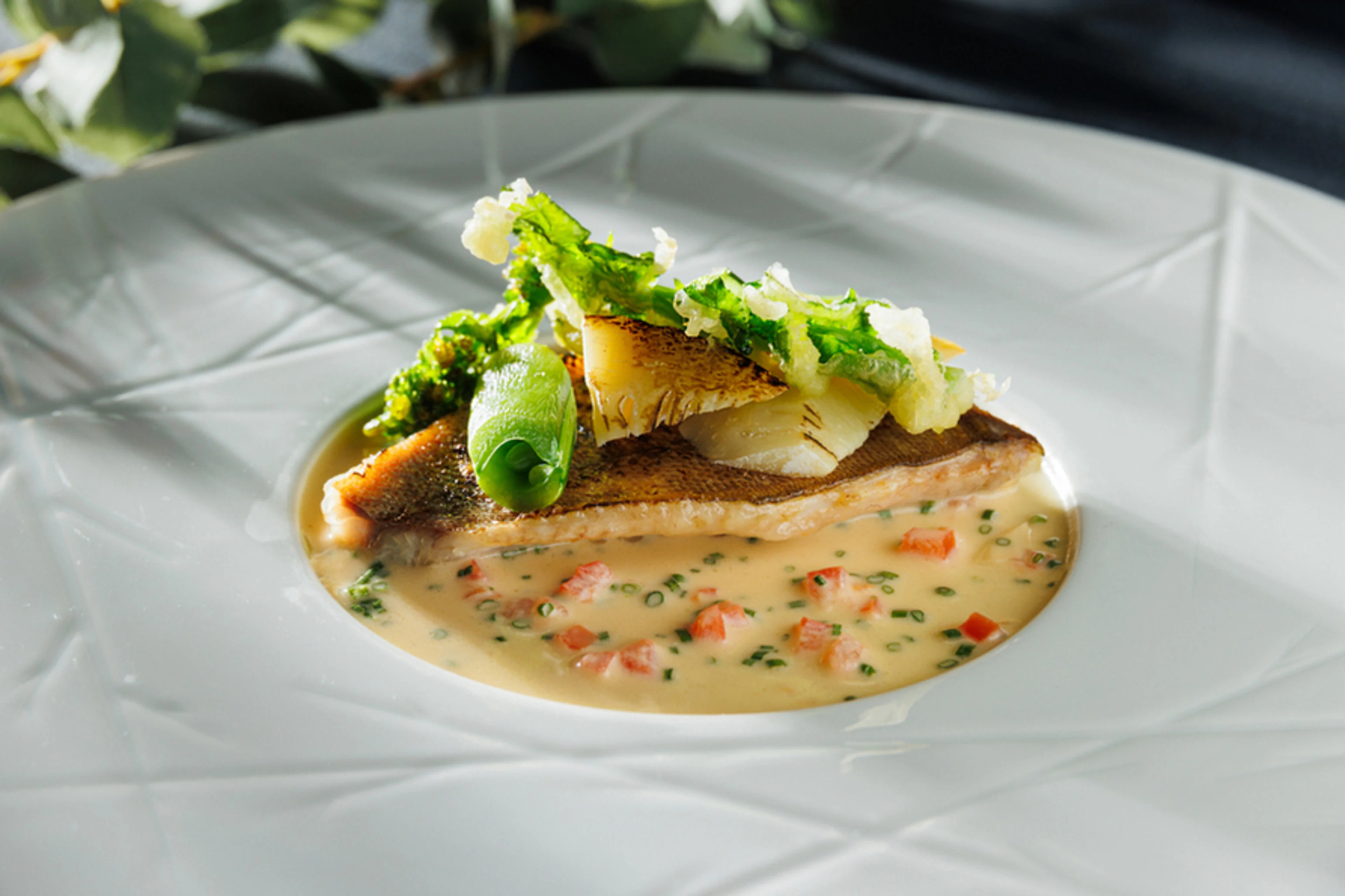 フレンチコース