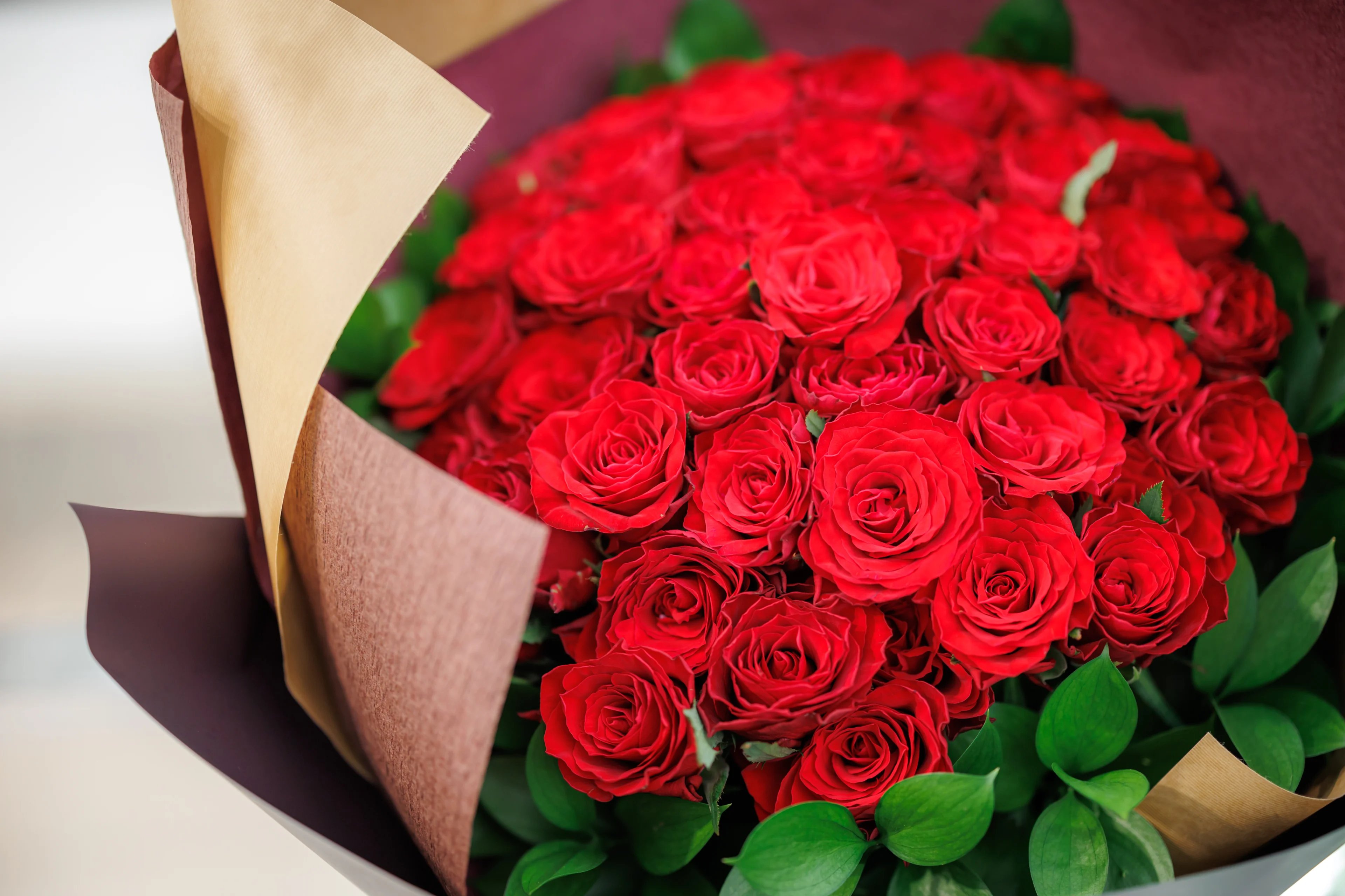 【プランナーのサポート付！ホテルプロポーズプラン】五感を満たす創作コース＋乾杯ドリンク＋メッセージプレート★ホテルインディゴ犬山有楽苑内レストラン★古民家風の温かな空間で特別な瞬間を★事前打ち合わせとリハーサル付！プロポーズ丸投げプラン