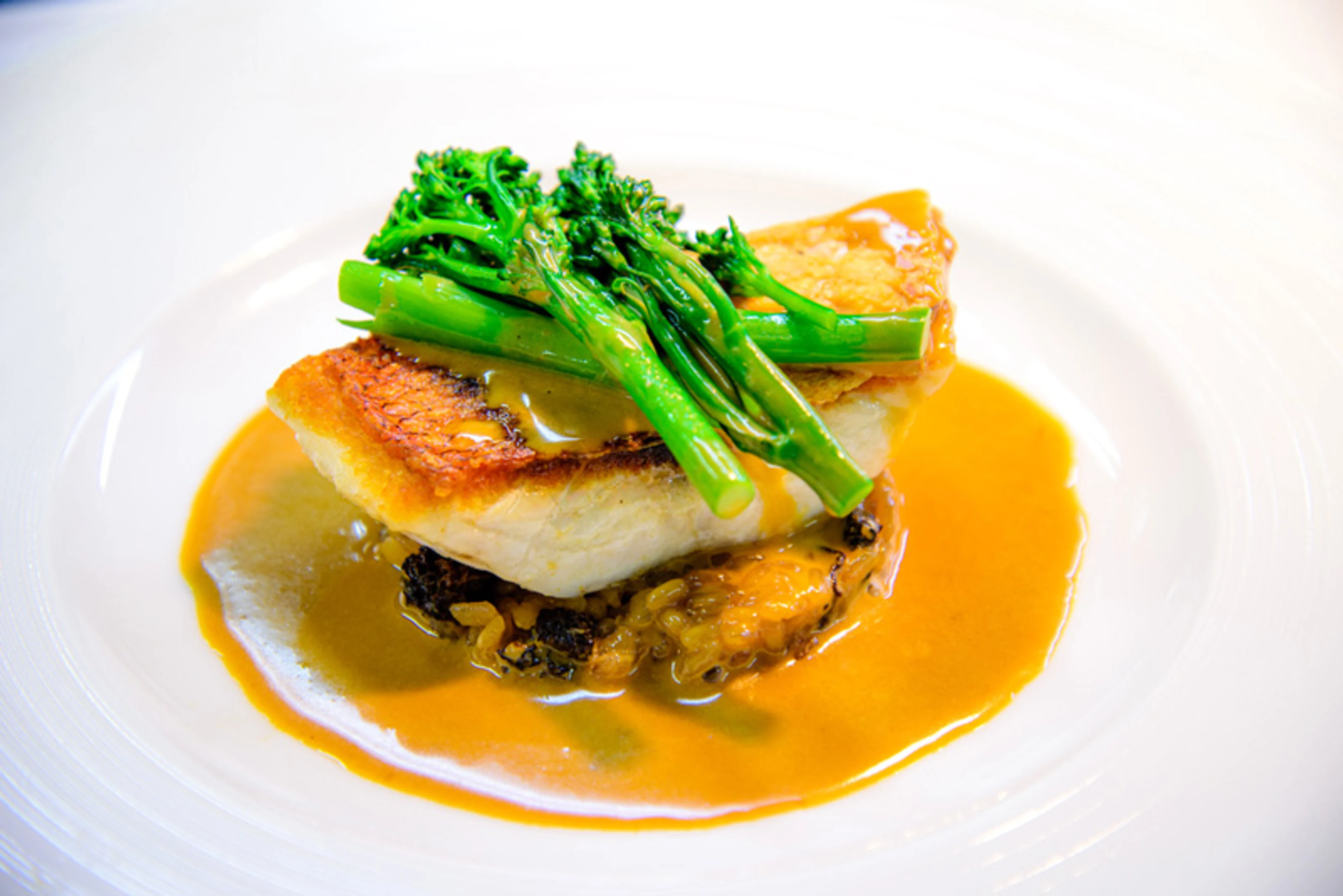  Anny限定【最大10名様/個室確約 大人数のお祝いランチ】オマール海老＆国産牛サーロイン含むフレンチコース全7品＋乾杯スパークリング＋メッセージ付きプレート★ホールケーキ追加可★代官山の名店で特別な一日を