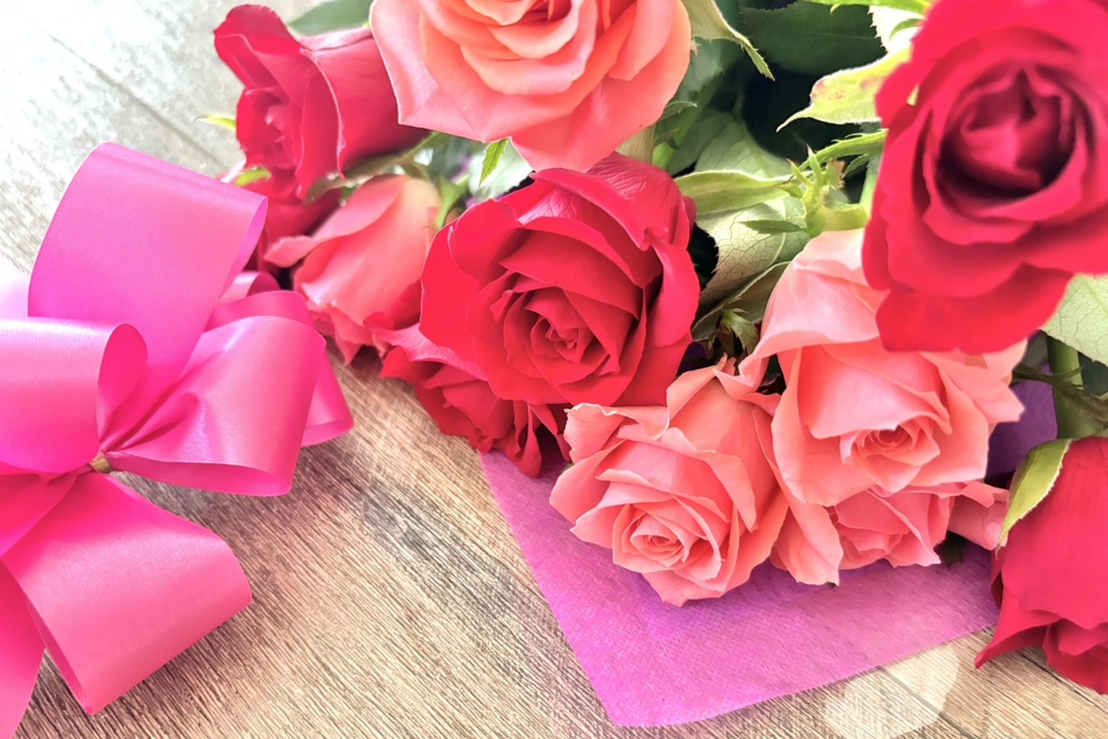 有料オプション