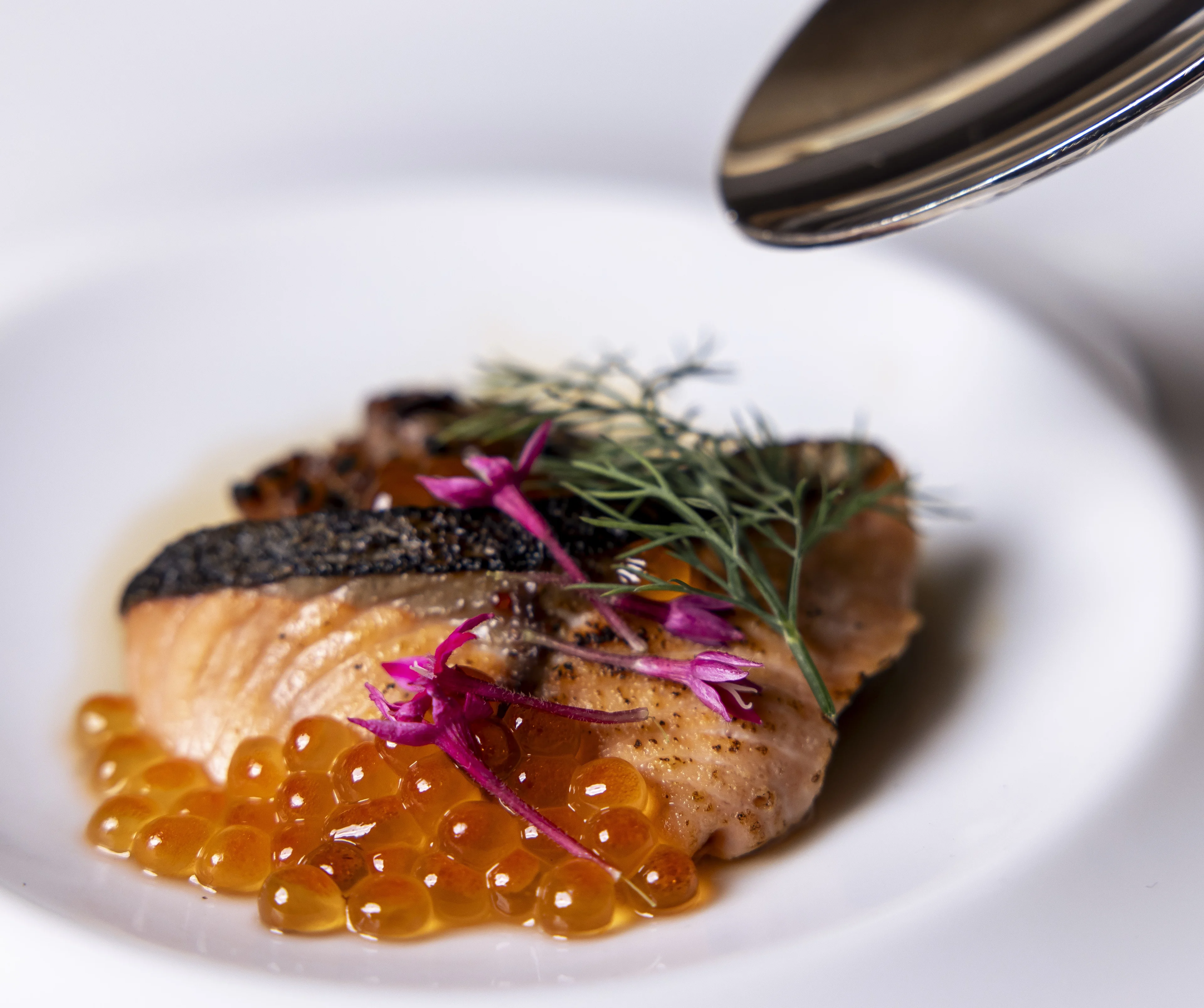 【最大6名×お祝いプラン】旬野菜・魚料理・肉料理を楽しむStagioneコース★少量多皿で味わう季節の美食を堪能