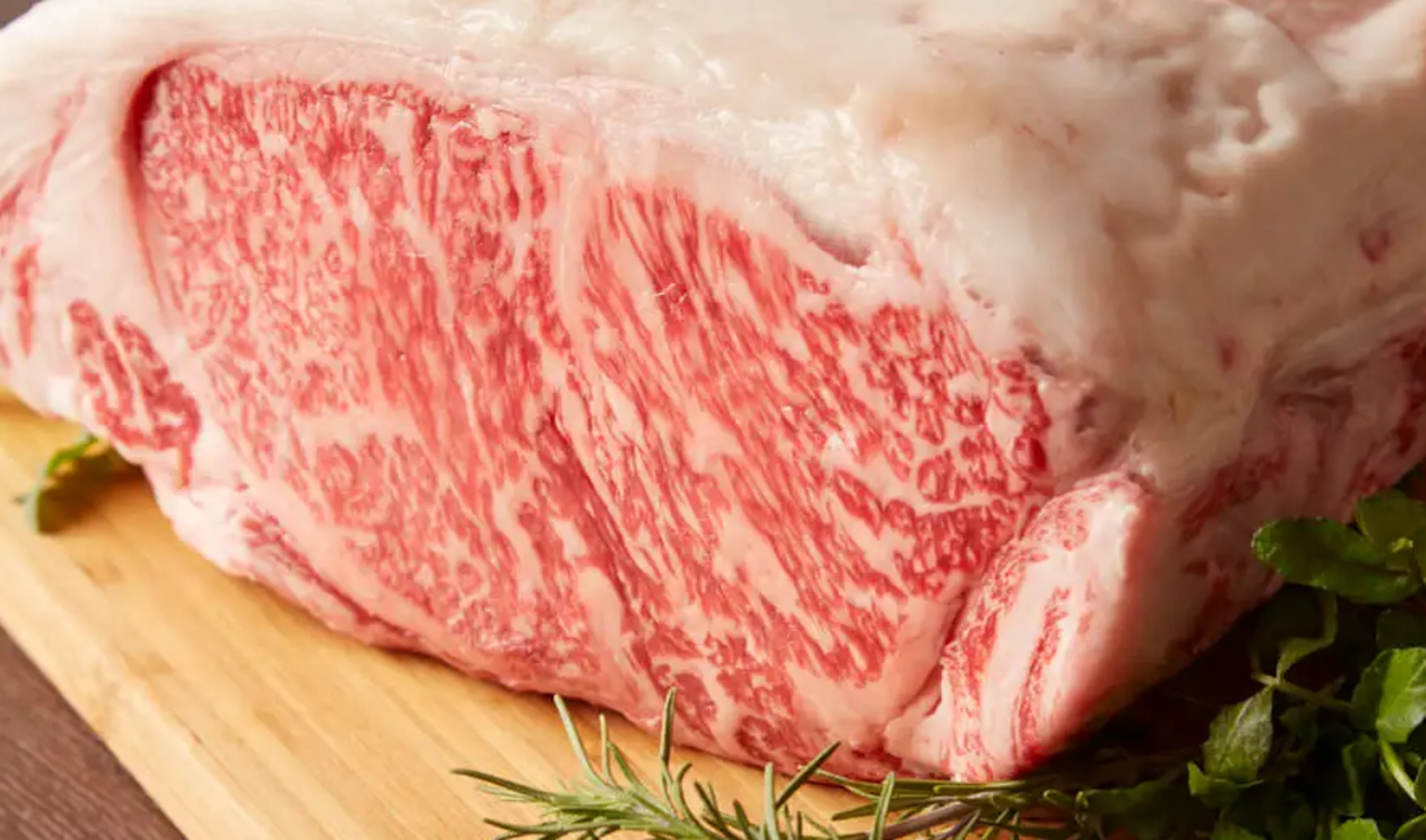 Anny限定ヒレステーキプラン【1日1組、両家顔合わせ向きの個室確約】希少な鳥取和牛に舌鼓★麹町1分好立地の大人の隠れ家★希少な鳥取和牛と極上フレンチの饗宴★親族と距離を縮める大人の空間