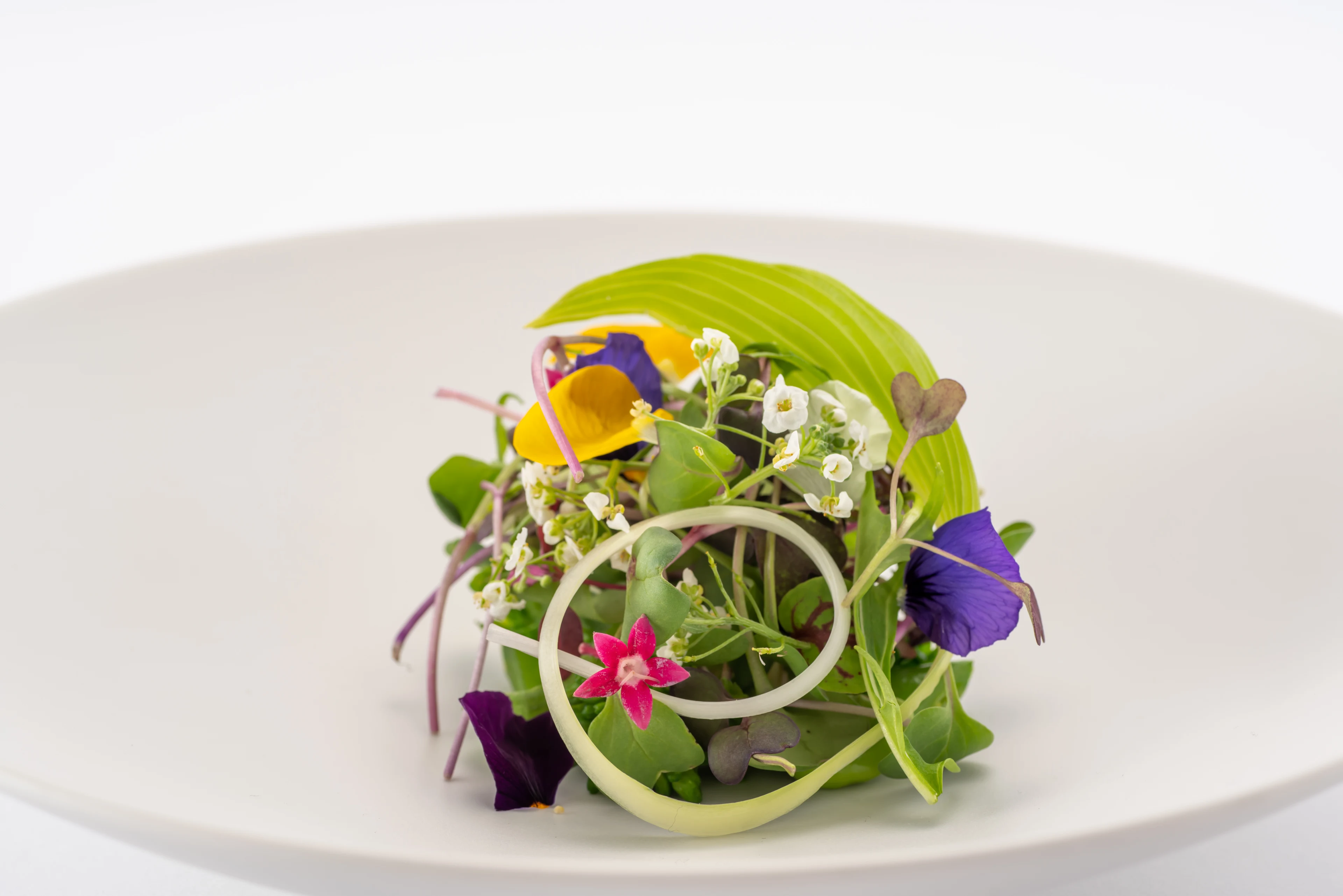 【アニバーサリープラン】国産牛フィレ肉など全7品ディナー＋乾杯グラススパークリングワイン＋メッセージプレート付きケーキ＋花束＋記念撮影★ハーバーランドのホテルの絶品フレンチでお祝い