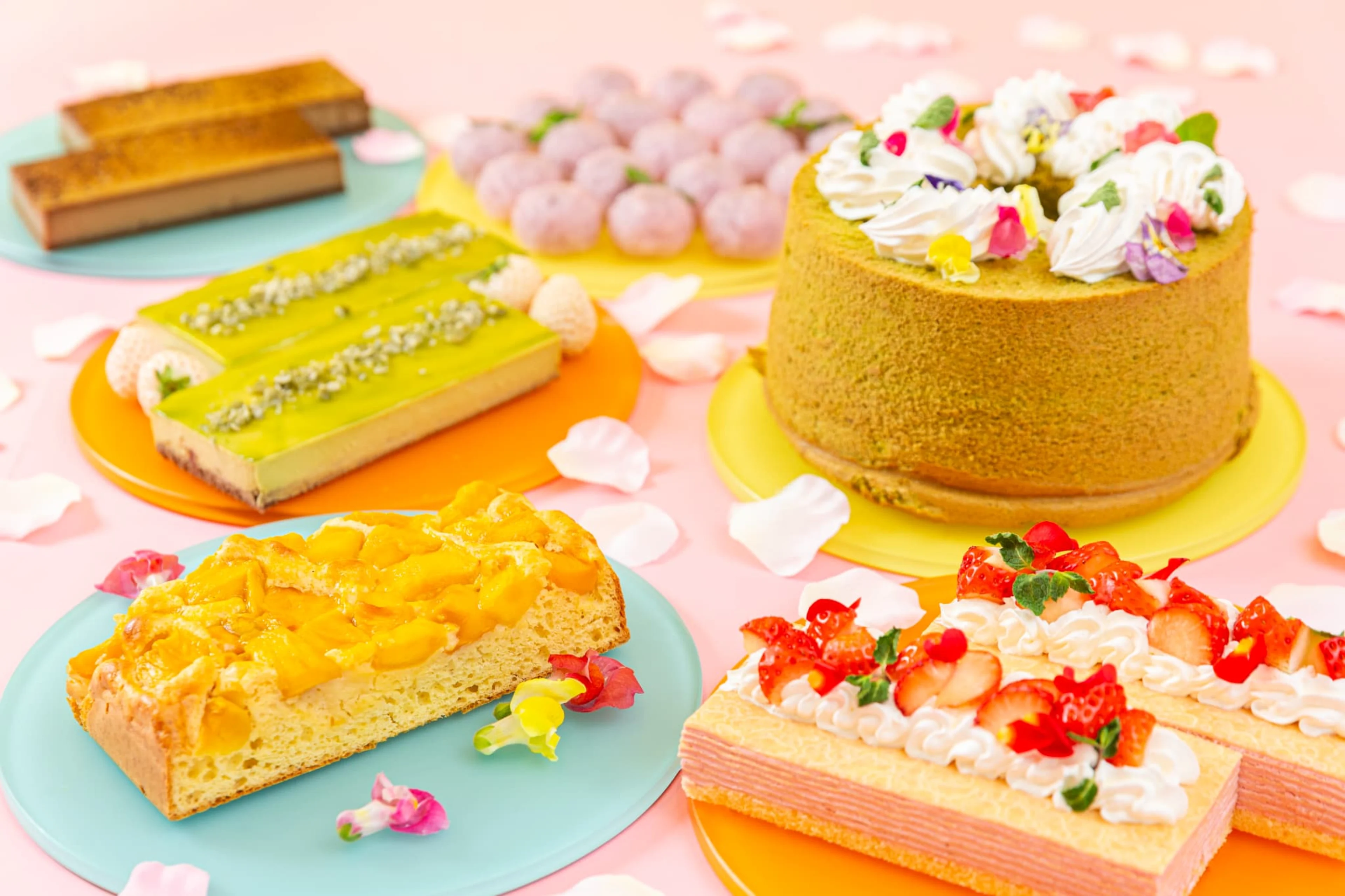 　【最大10名様 / お祝いランチプラン】約50種のビュッフェ＋ソフトドリンク飲み放題＋乾杯ドリンク＋メッセージを添えたデザート★記憶に残る美食体験〜木の温もり溢れる上質空間で華やかに祝う★ホテル京阪京橋グランデ・京橋駅徒歩1分