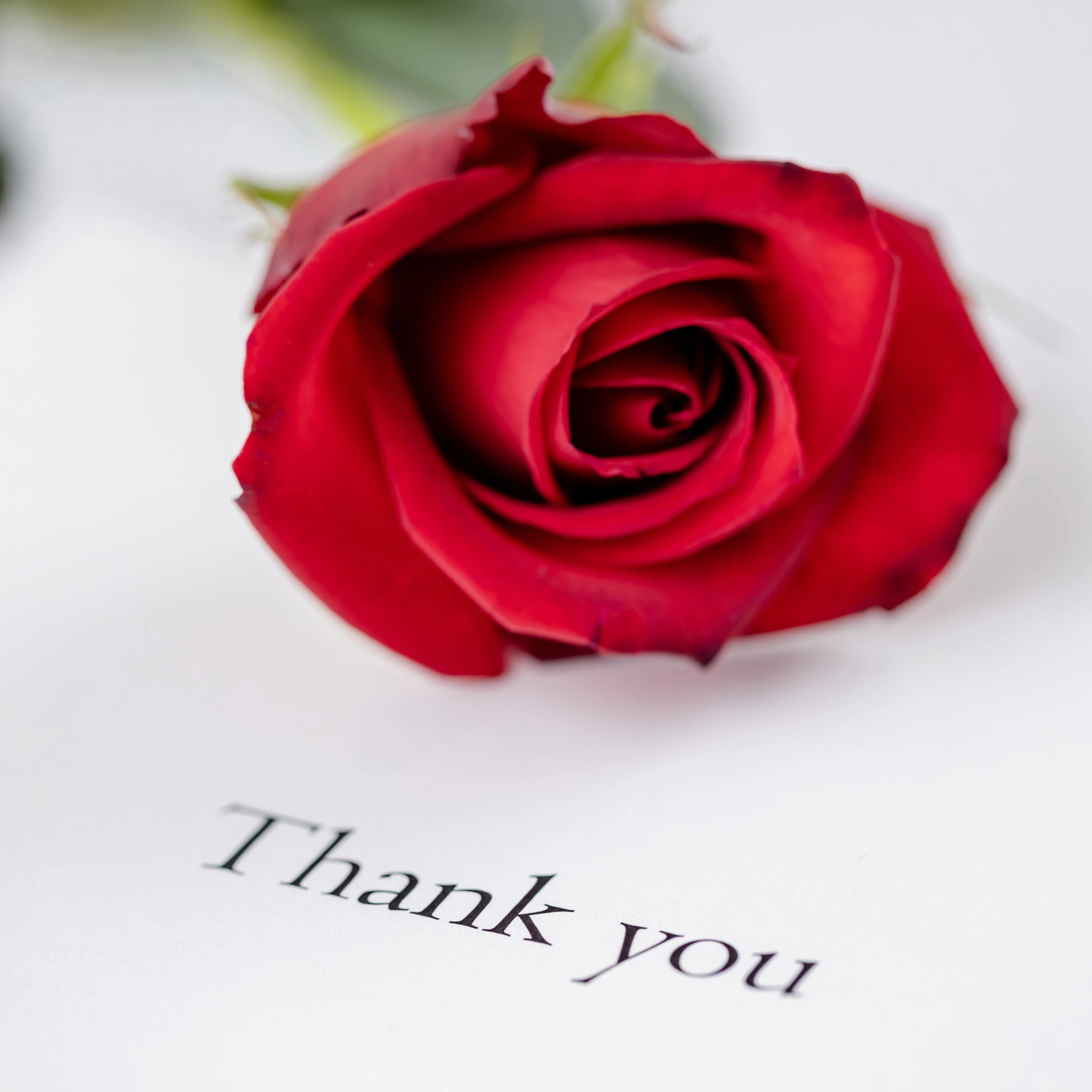 有料オプション