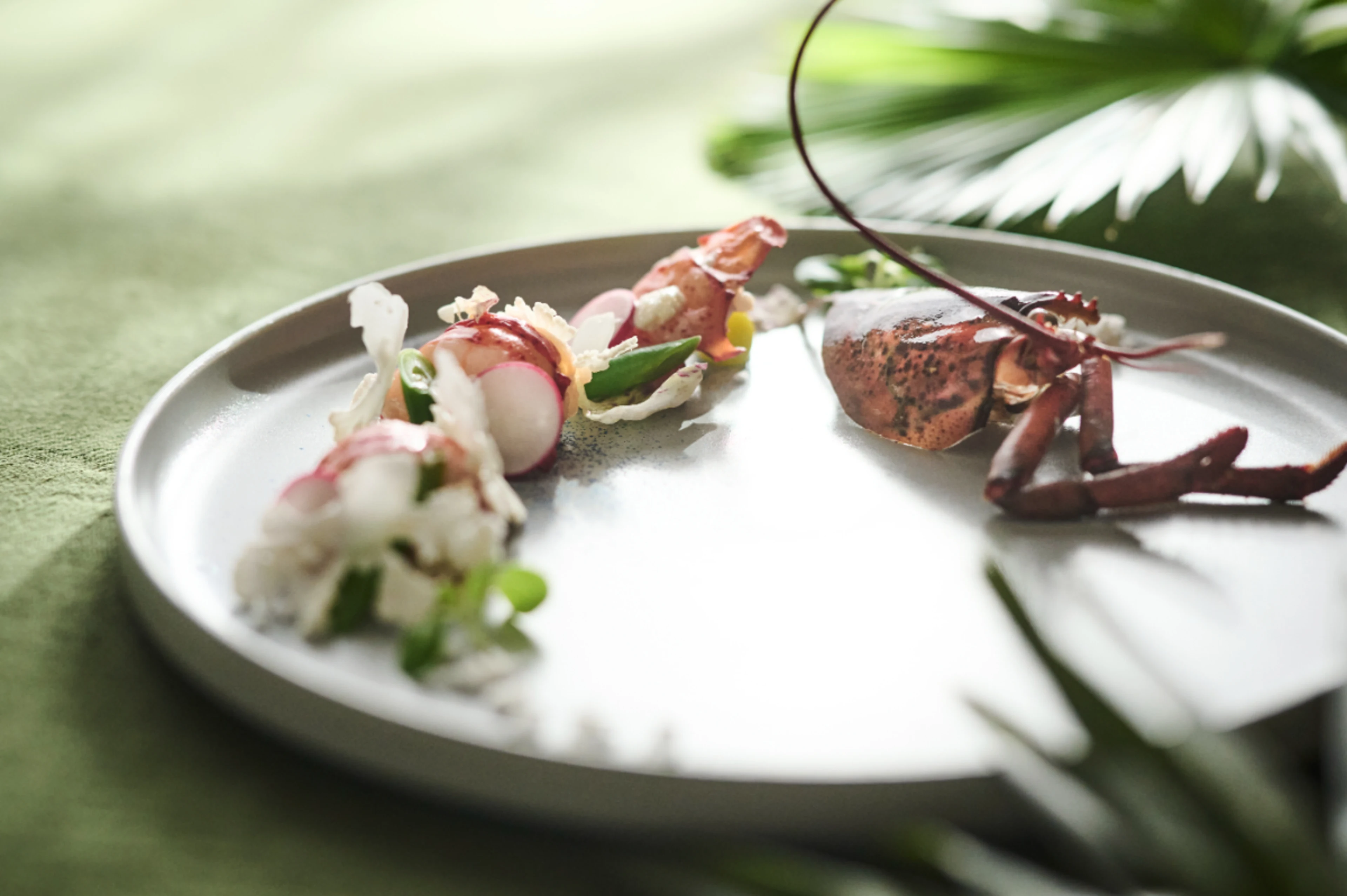 九州の素材の恵みを活かしたフルコース