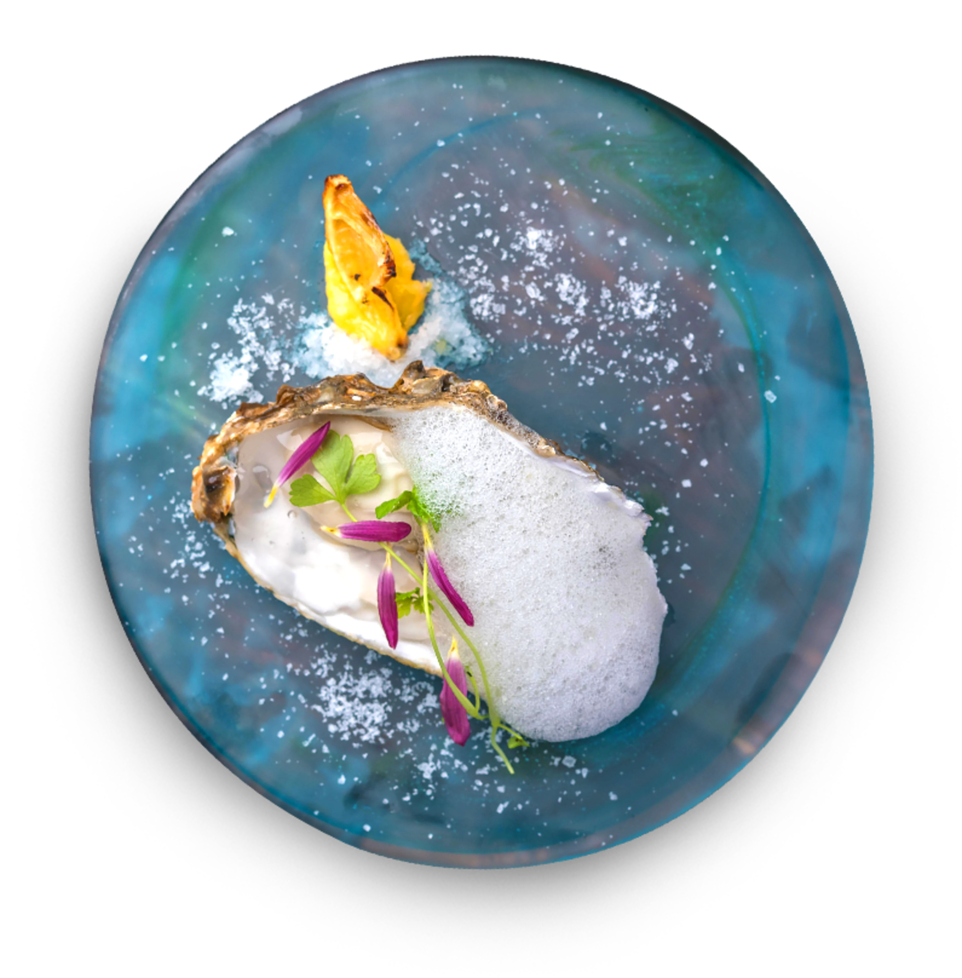 【貸切・最大22名／お祝いプラン】前菜やパスタ、Wメインなど全7品+飲み放題★大阪・福島の隠れ家イタリアンで大人数でお祝いを