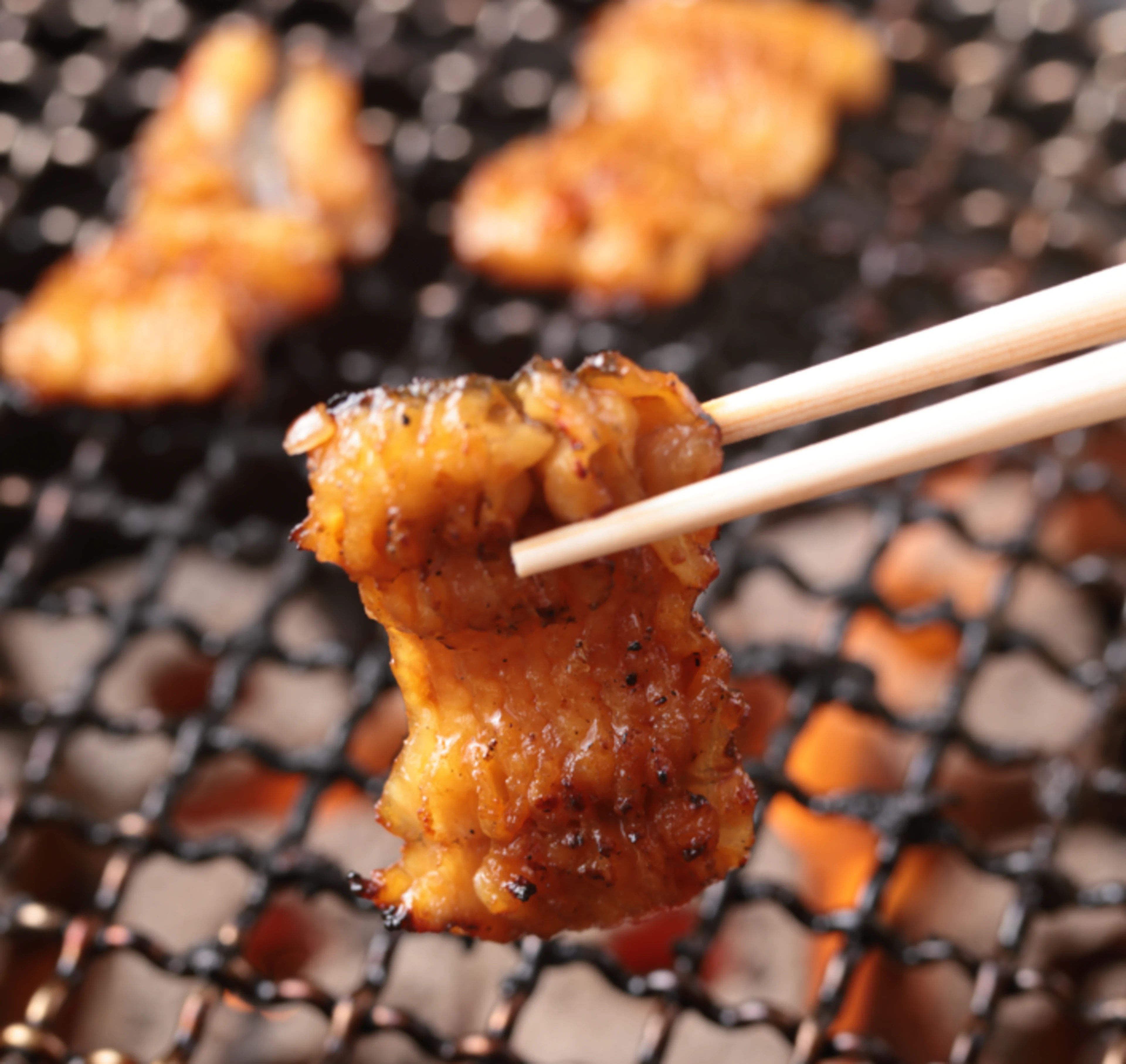 鰻の炭火焼メイン季節を彩る京懐石