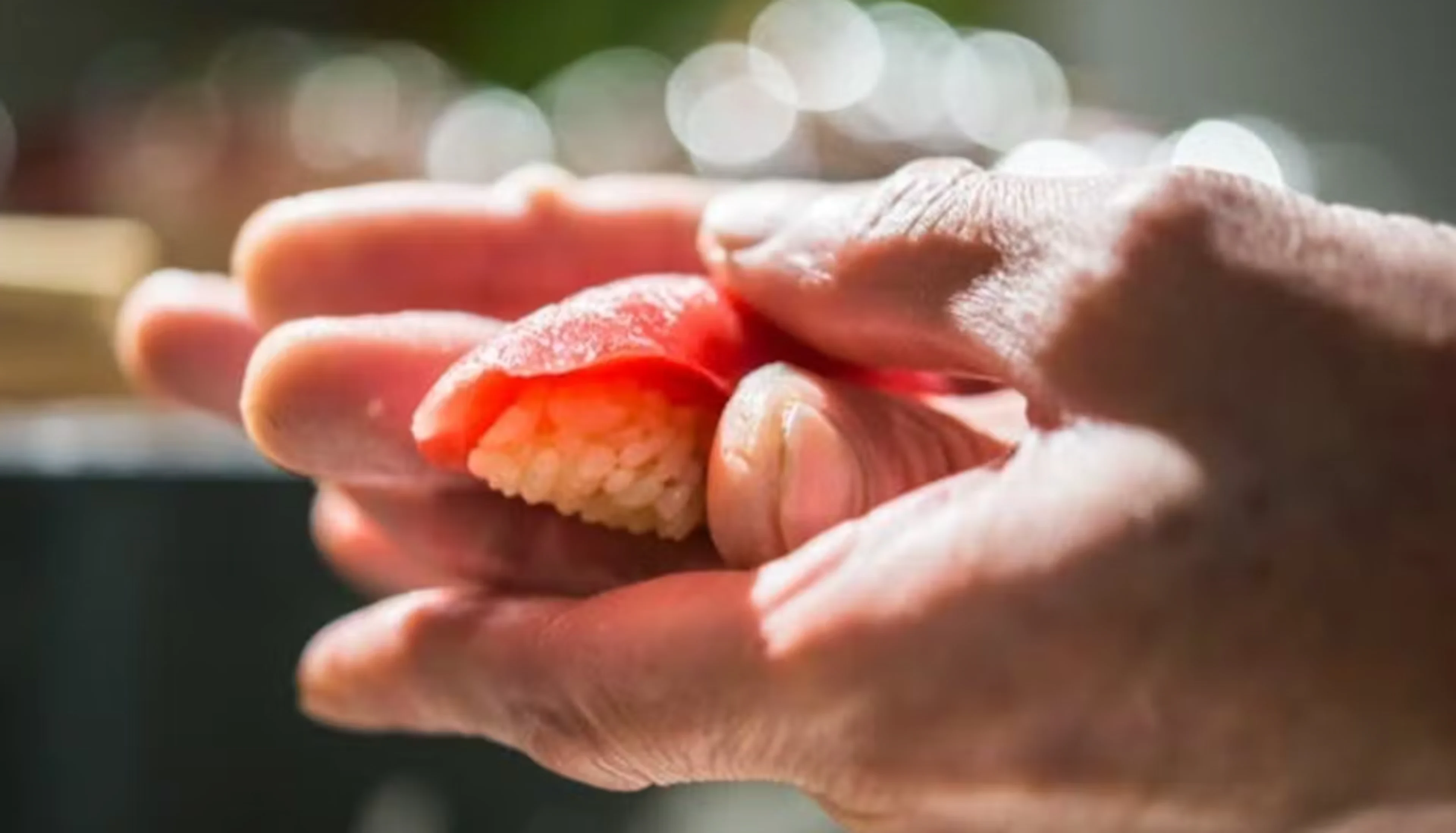 こんこんお任せコース