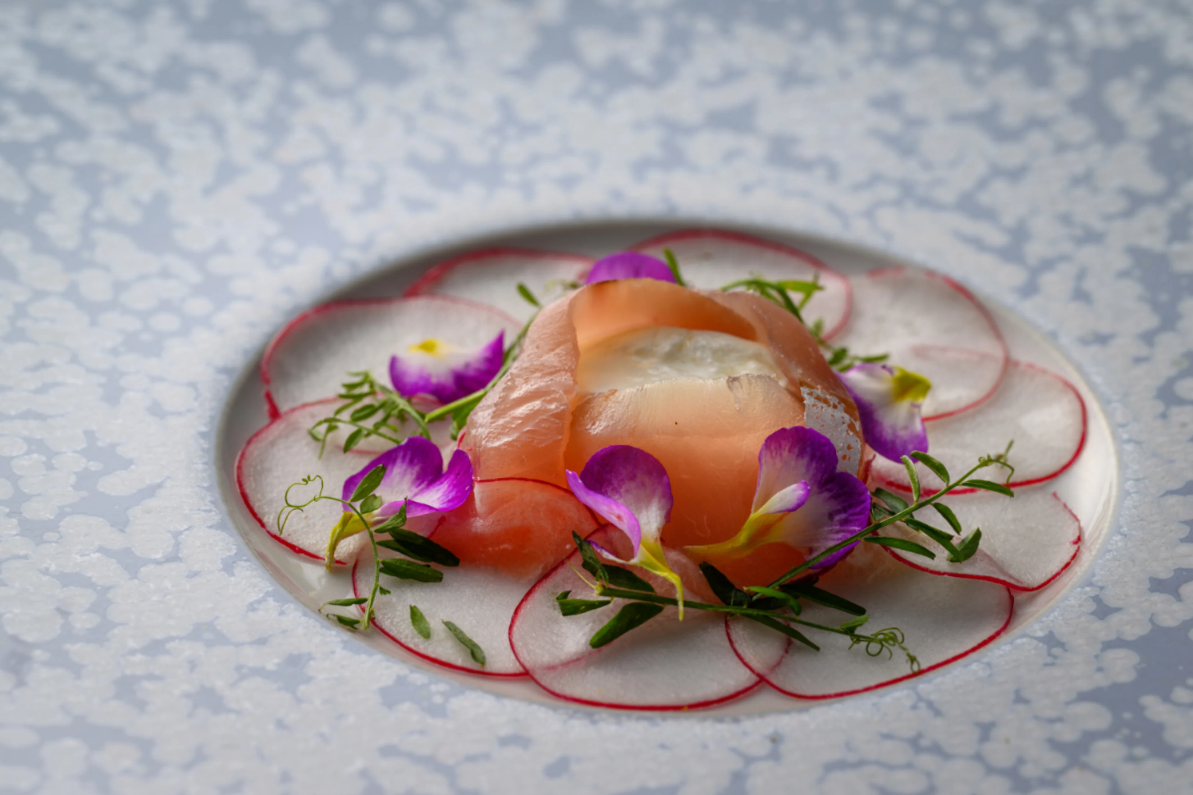 シェフお任せフルコースディナー