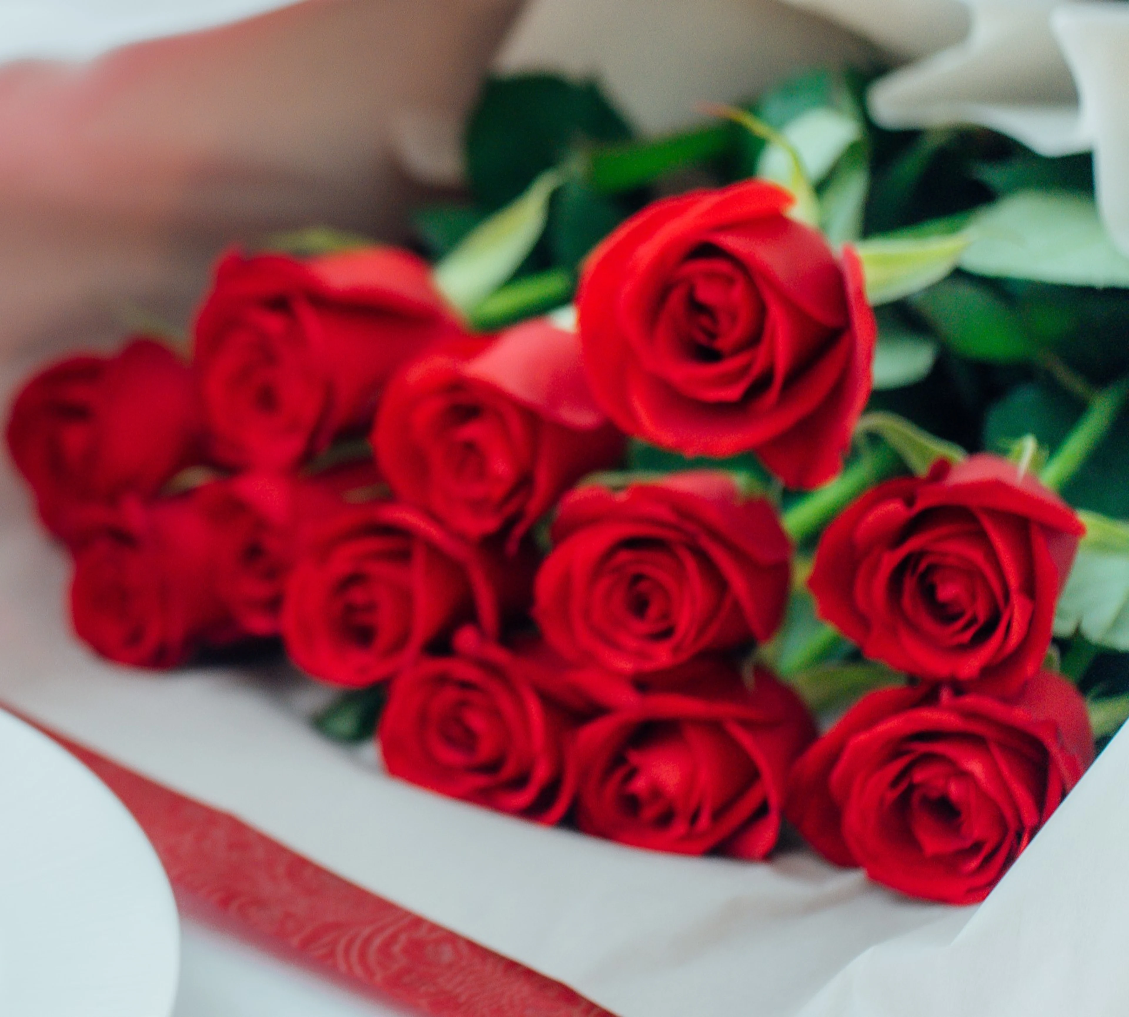 12本のバラの花束