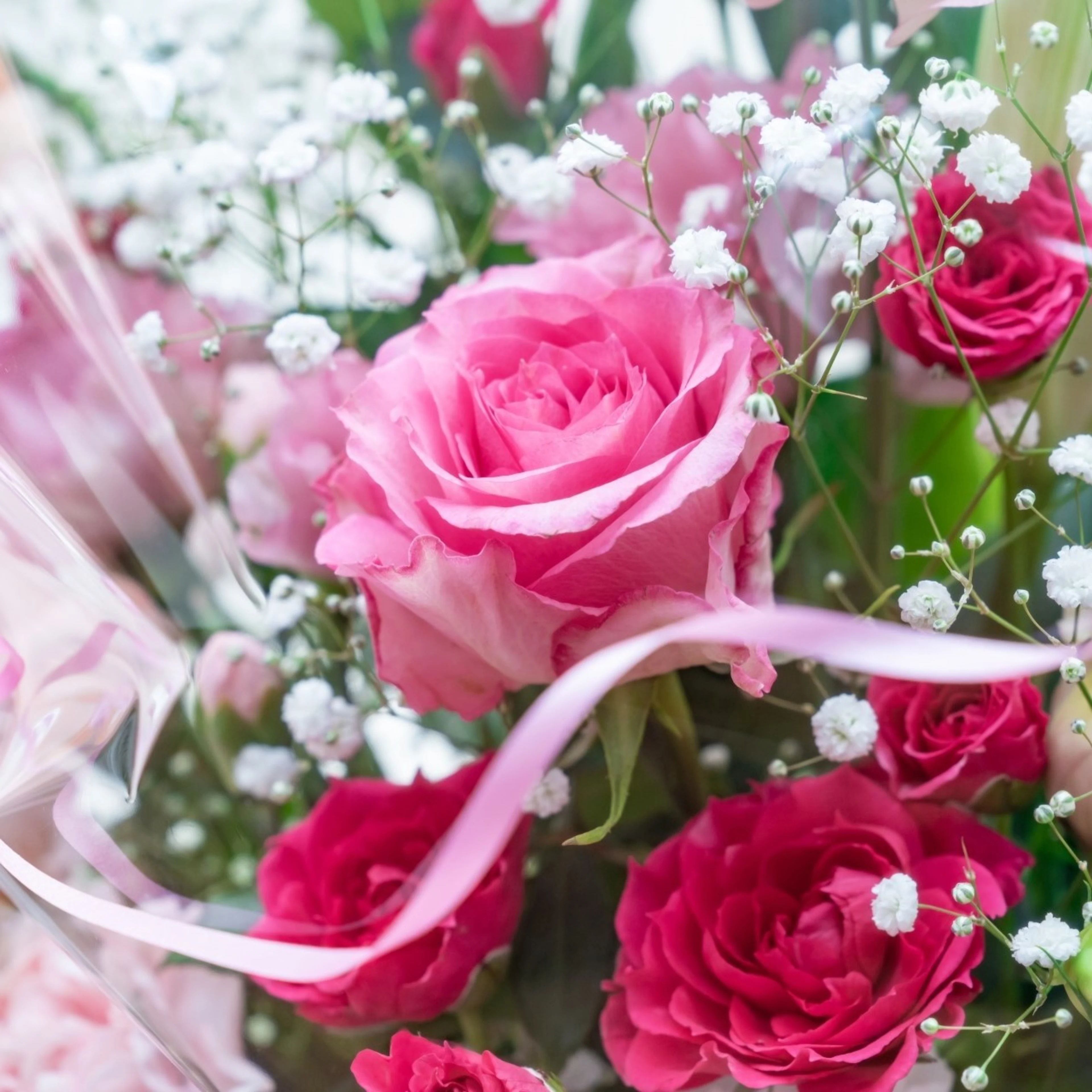 有料オプション