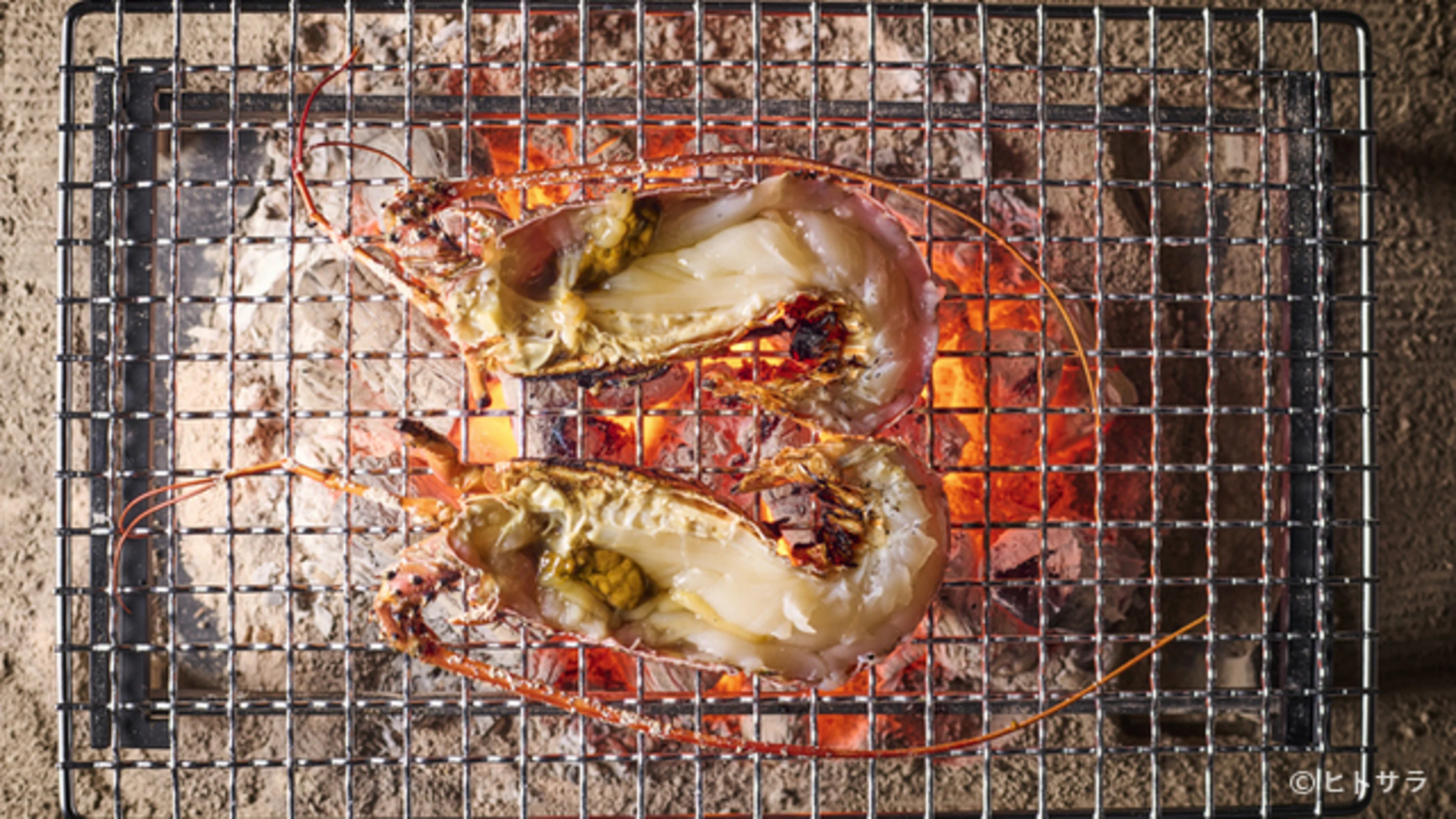 【Anny限定アニバーサリープラン】伊勢海老と黒毛和牛の饗宴！贅沢な全8品の者コース＋メッセージ付きケーキプレート★銀座駅徒歩3分★季節の恵みを囲炉裏炭火で堪能する至福のひととき★