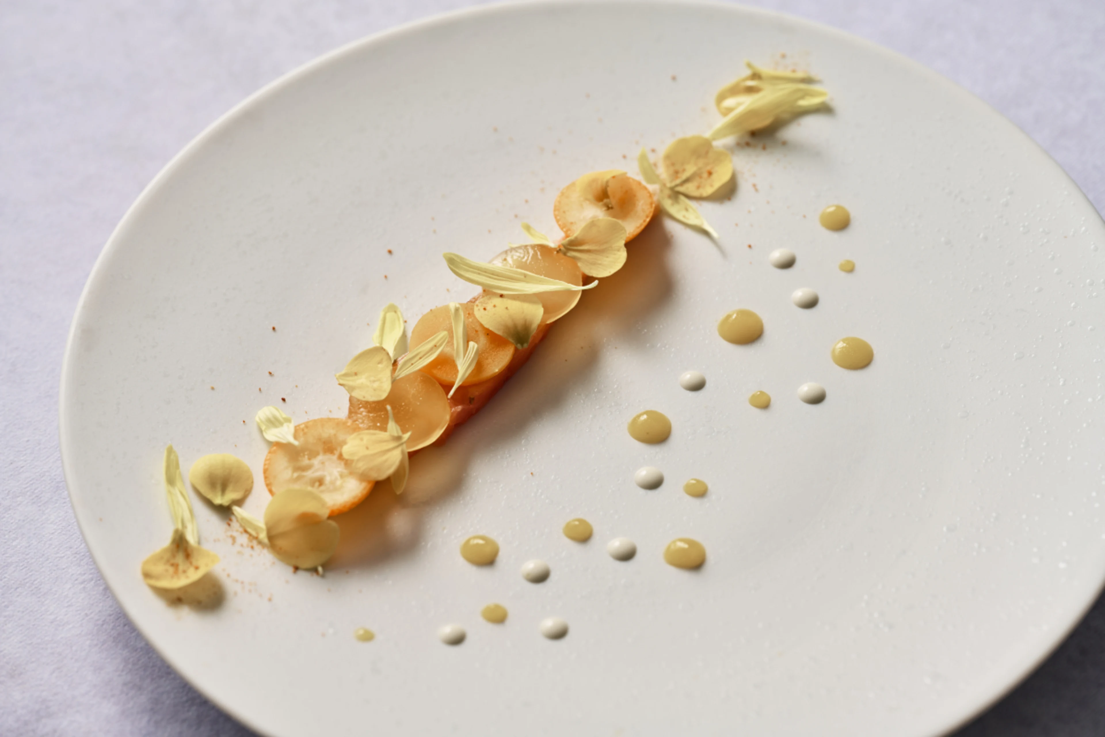 【アニバーサリープラン】四季折々のフレンチディナー全9品＋乾杯酒＆メッセージ付きホールケーキ～海辺のホテルで記念日を祝う～