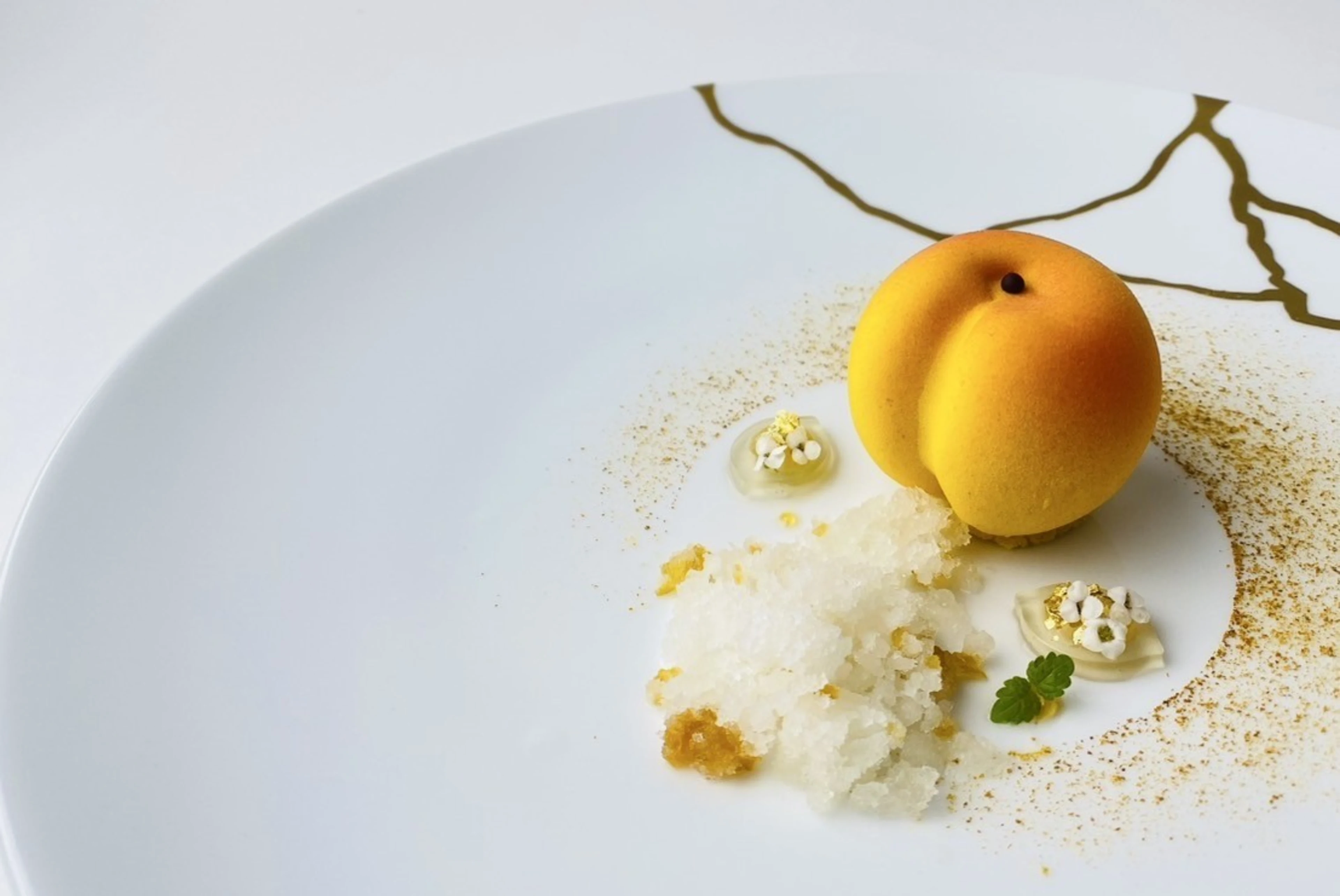 【最大10名様 個室選択可×大人数のお祝いランチプラン】国際コンクール優勝シェフのスペシャリテ全7品×メッセージプレート付き★福井で特別なお祝いを