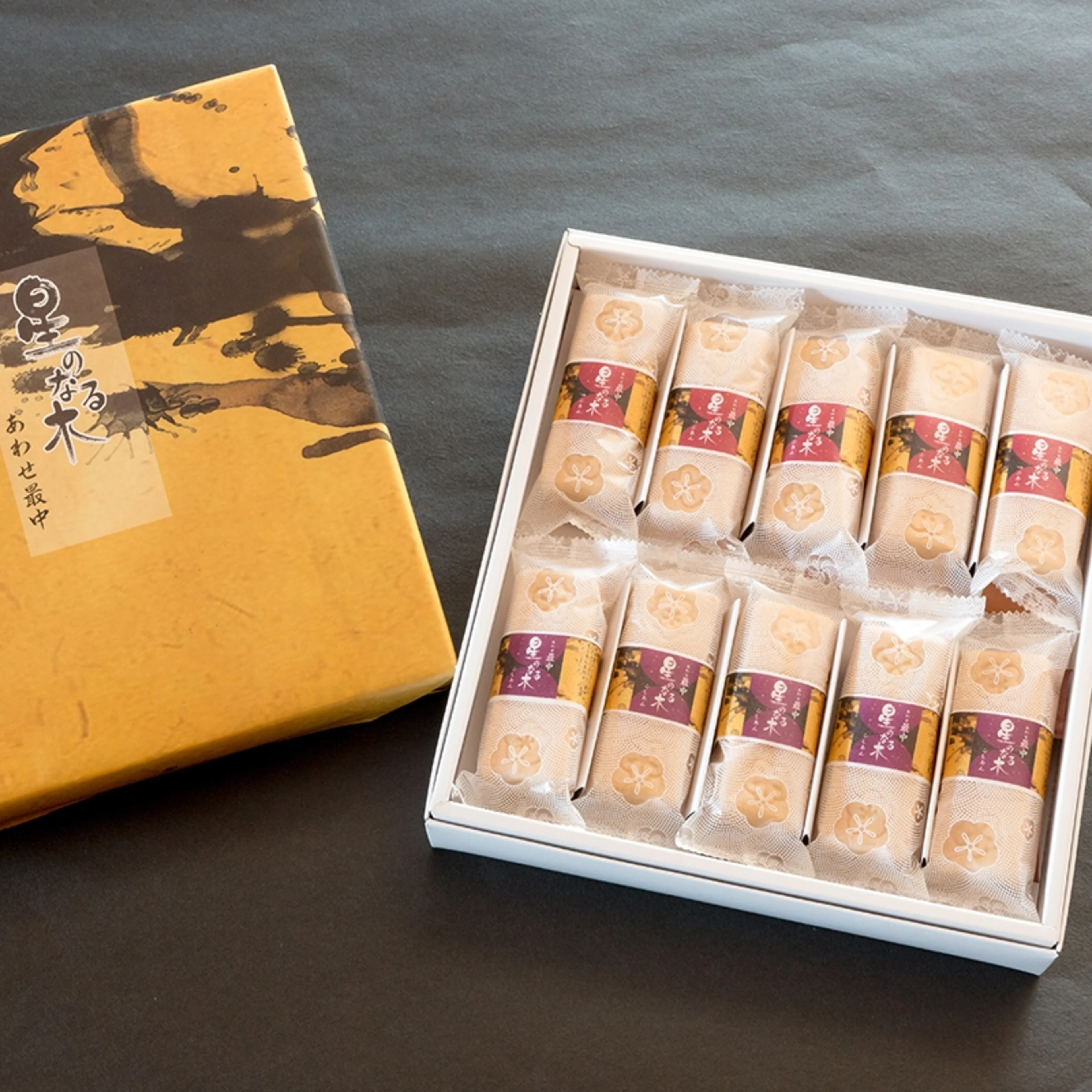 有料オプション