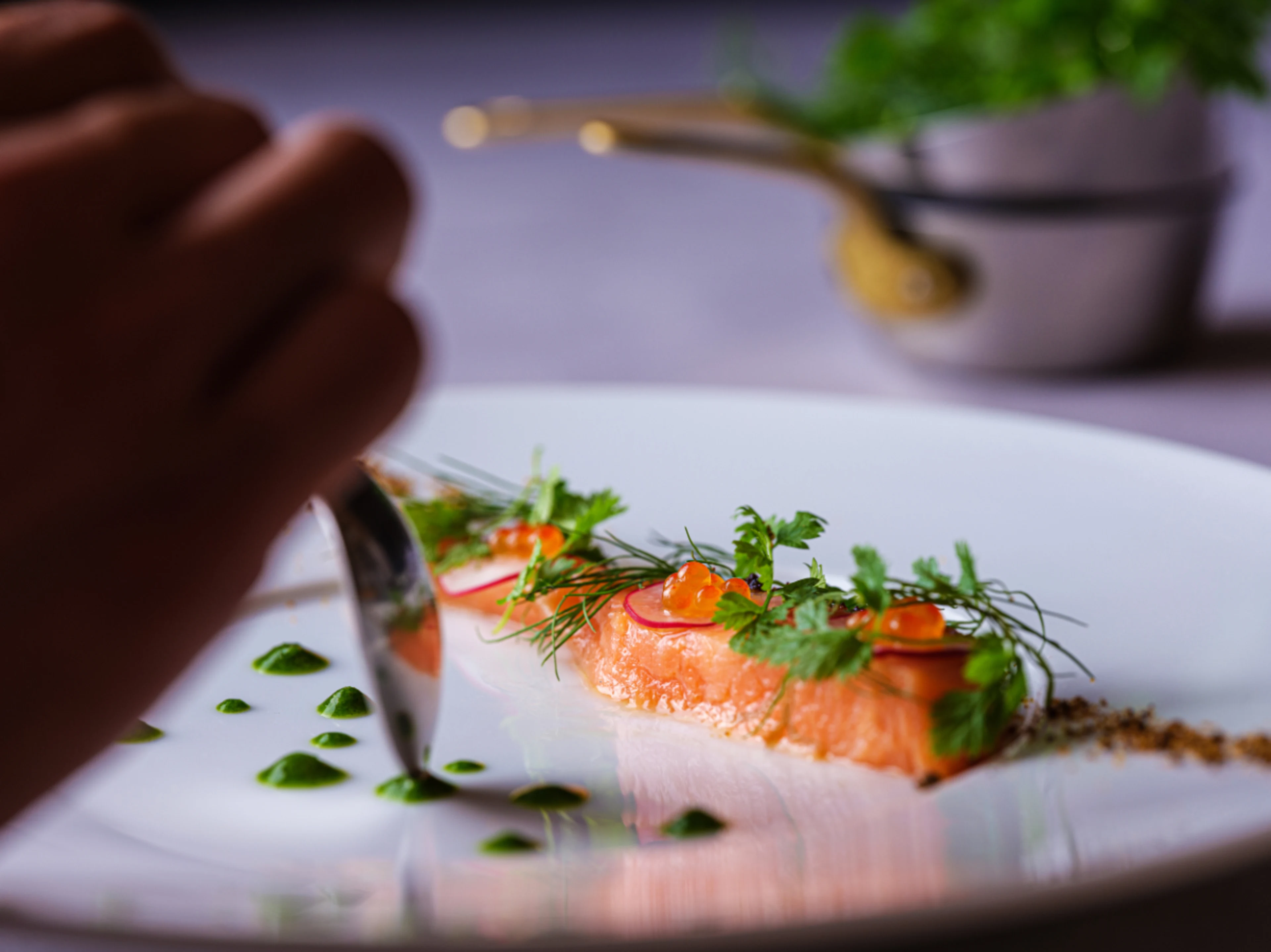 最大10名様【半個室確約／結納・顔合わせプラン】地元素材を生かした薪火グリルコースを堪能★乾杯ドリンク＆専任アニバーサリープランナーサポート付★川越西口1分で家族の誕生をお祝い