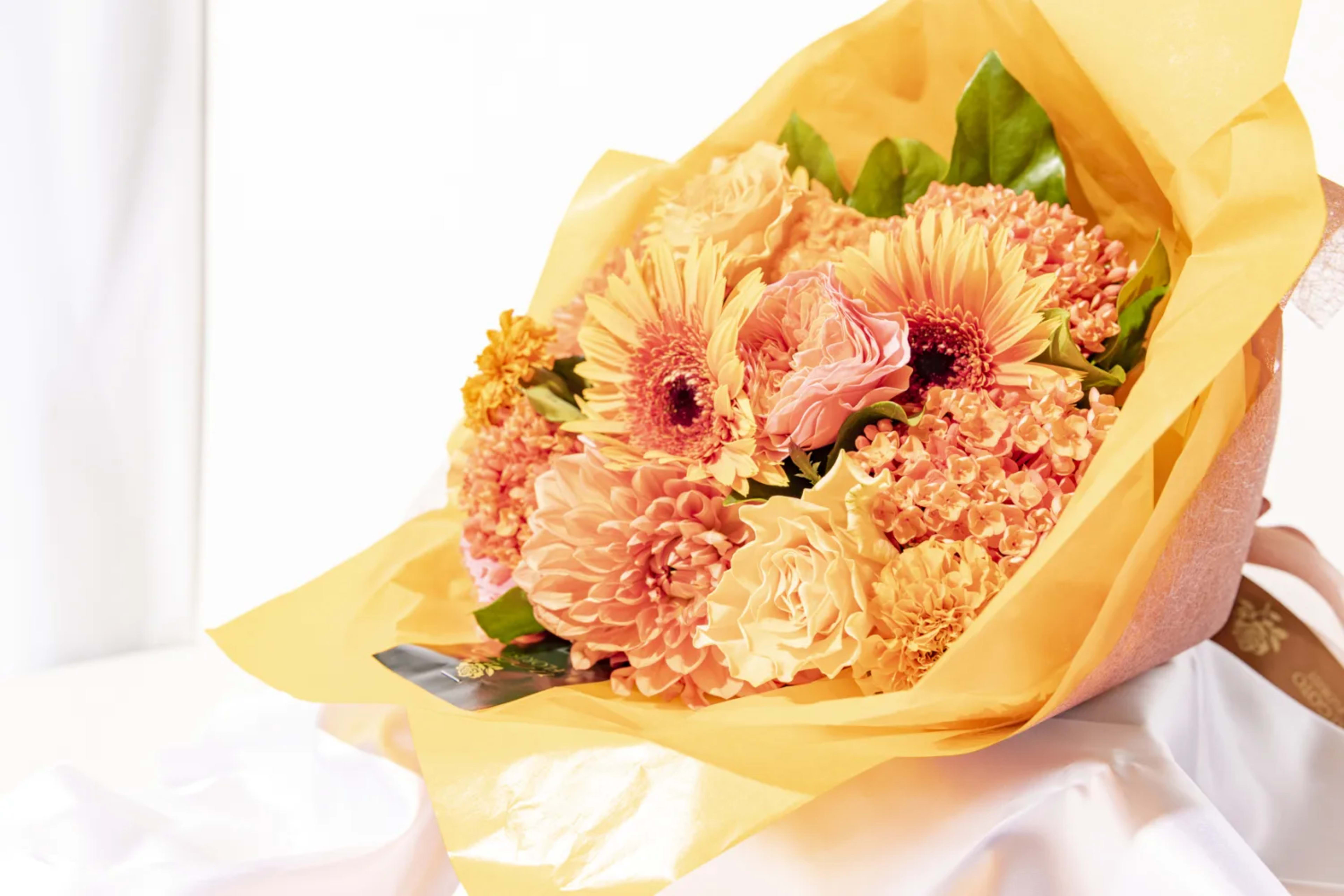 有料オプション