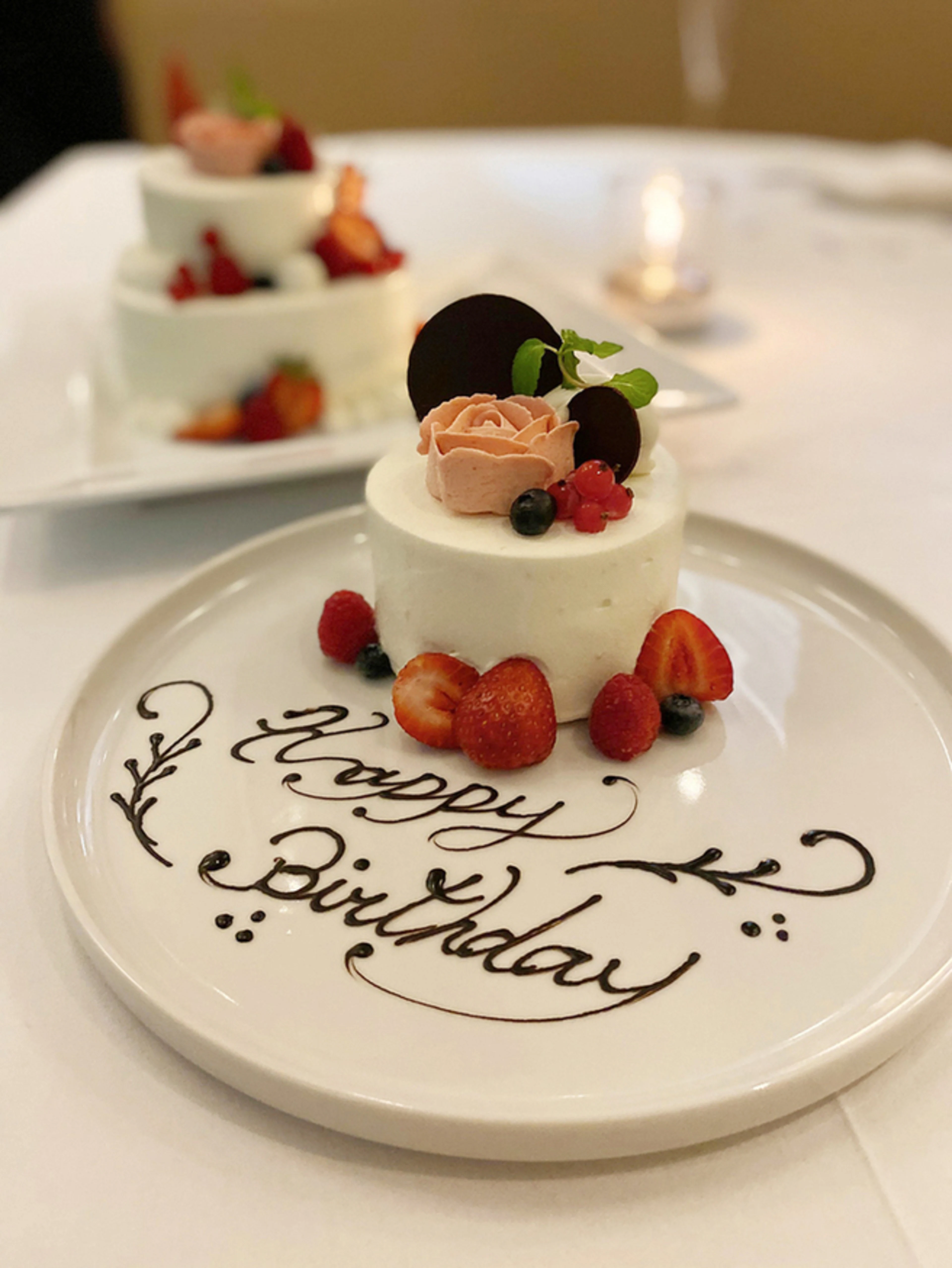 有料オプション