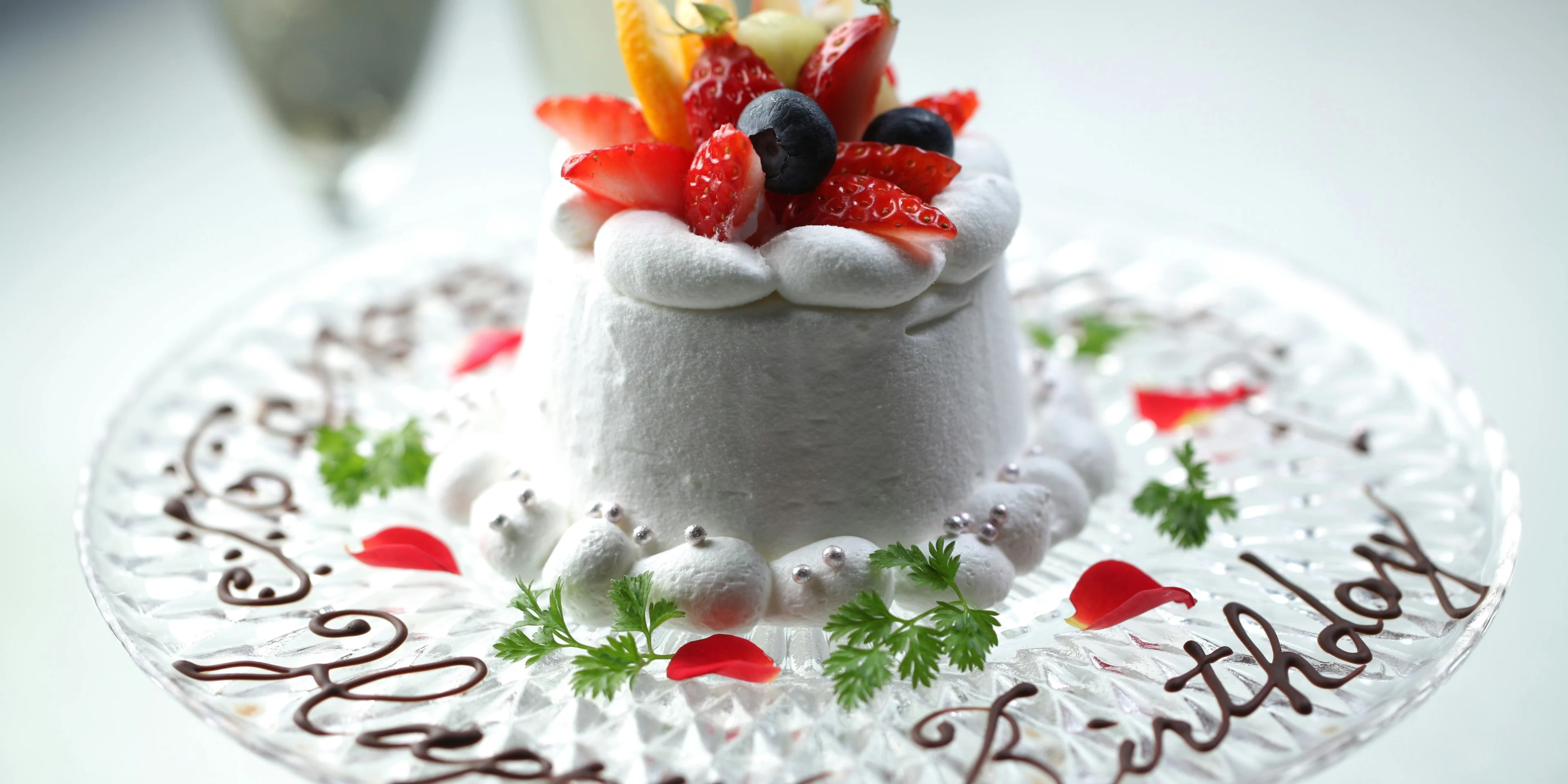 有料オプション