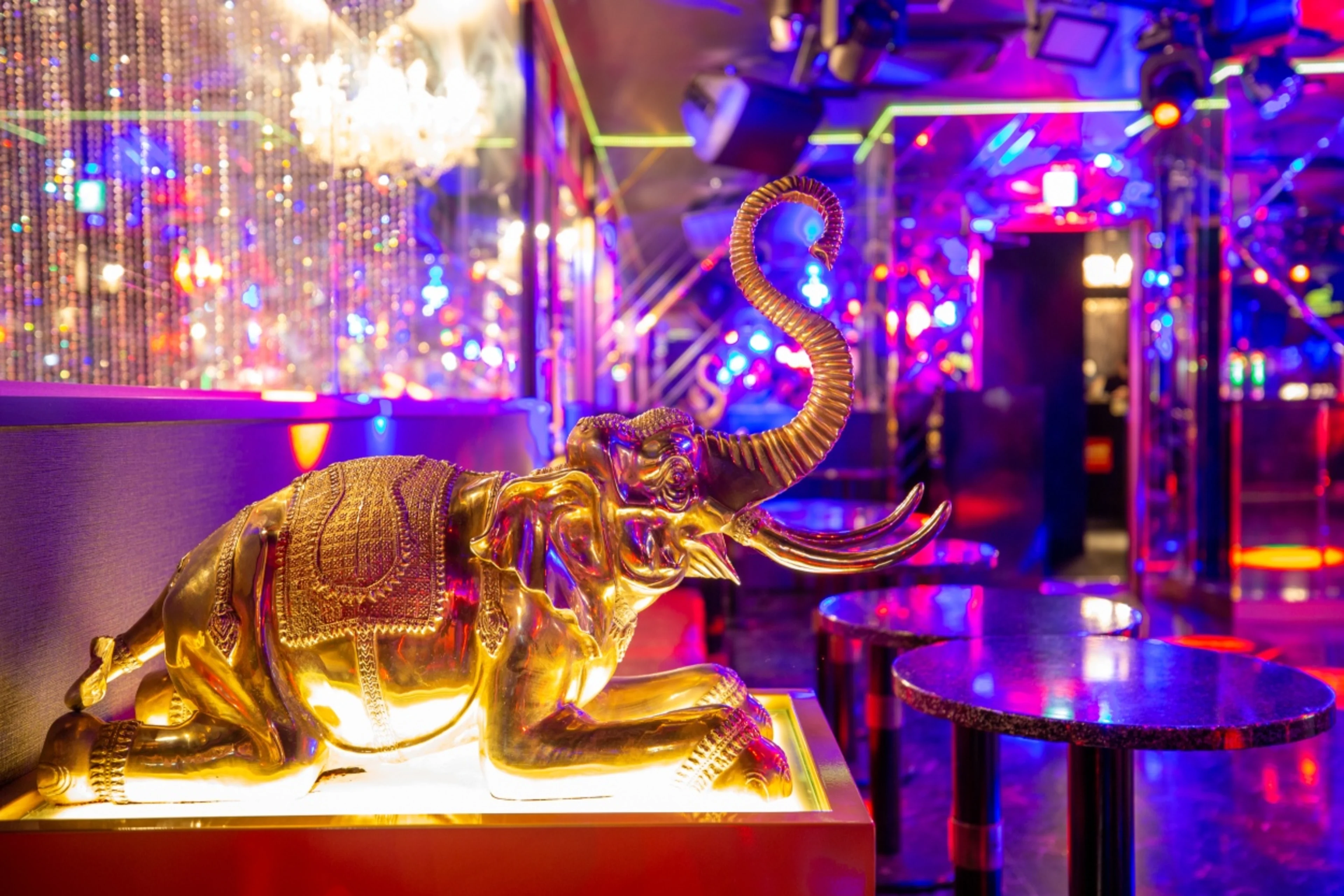 マハラジャ六本木