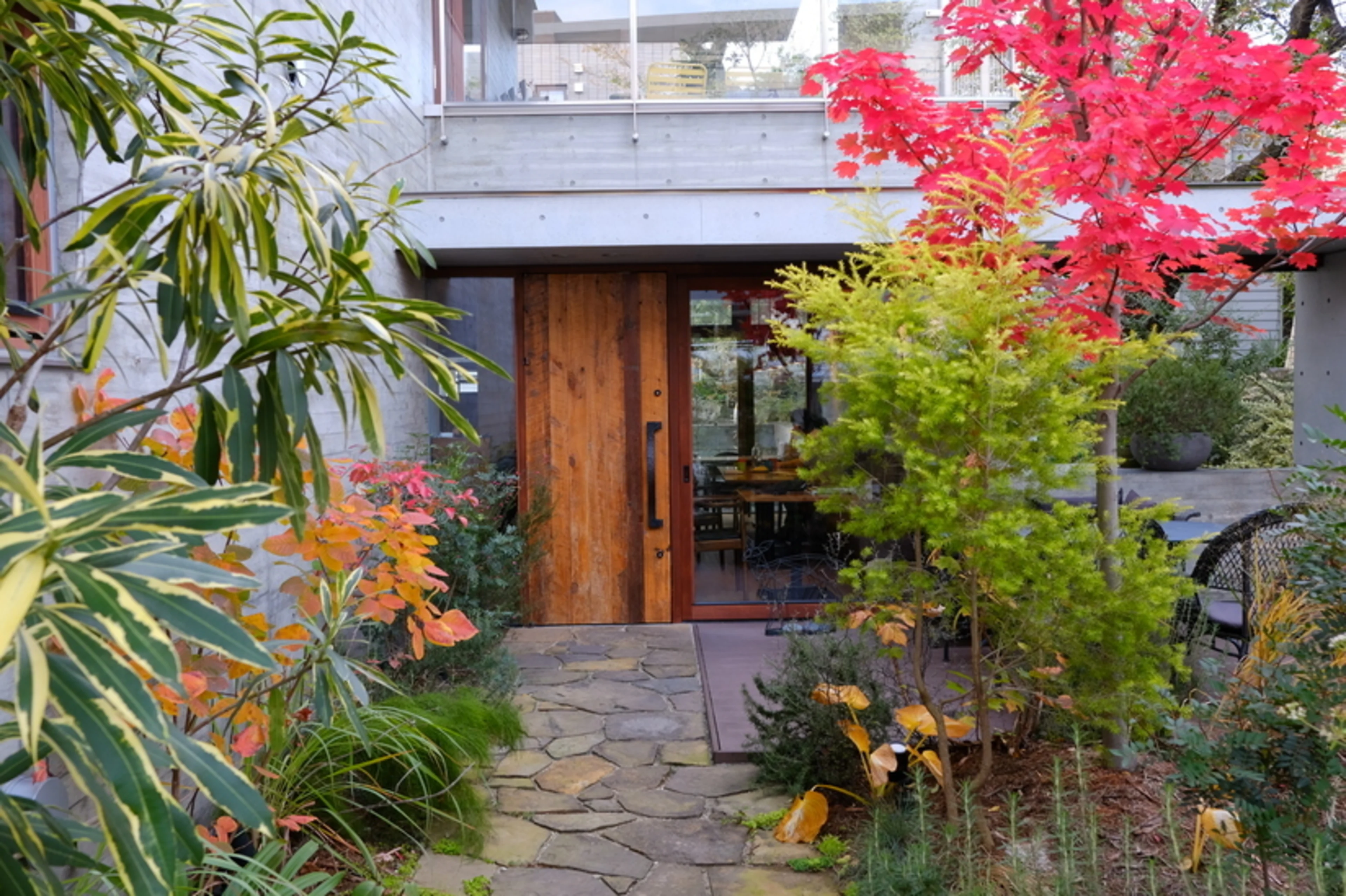 Restaurant Celaravird