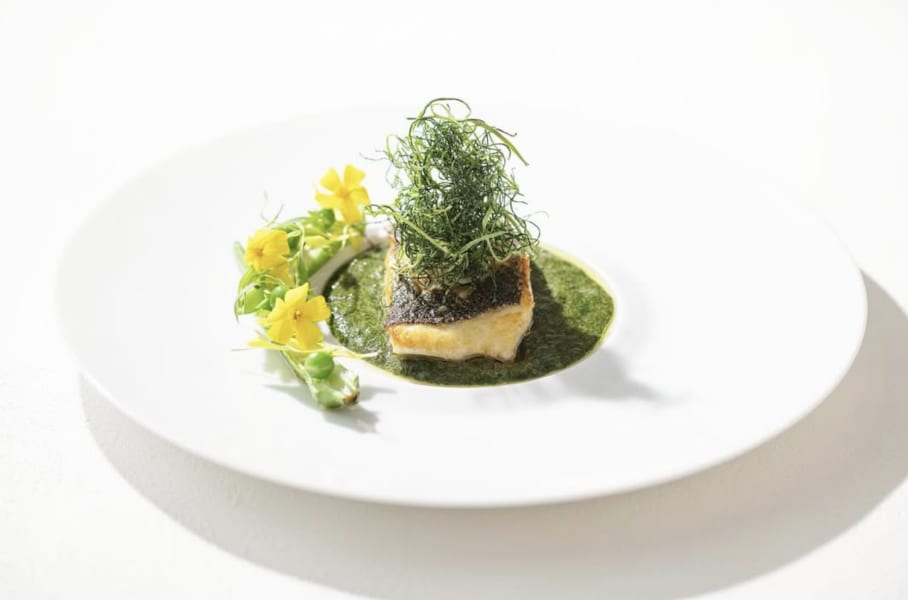 一期一会の美食体験〜心尽くしのおもてなしと共に堪能する、シェフ渾身のフレンチコース | 【個室確約★憧れの一軒家レストラン×サプライズプロポーズ】感動を紡ぐ美食のひととき★お二人のために作る豪華7品シェフおまかせコース＋乾杯シャンパン＋特製ホールケーキ＋指輪のクロッシュサービス〜表参道駅徒歩1分の隠れ家フレンチ