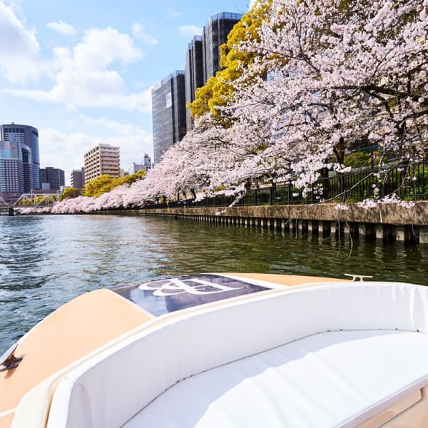 中之島の美景に包まれた貸切クルージングで過ごす夢のようなひととき | 【ランチ★中之島クルーズプロポーズプラン】極上フレンチフルコース＋メッセージプレート★都会の四季を楽しむ貸切クルーズ★