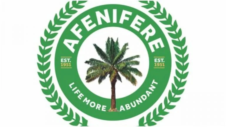 Afenifere Warns of Rising Terror Attacks and Kidnappings in Kwara, Oyo, Ondo as Security Fears Deepen in South-West