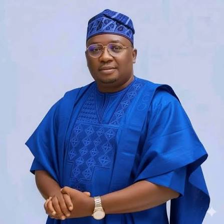 Nigeria Blackout: Power Minister Adebayo Adelabu Apologises, Promises Electricity Improvement Within Two Weeks